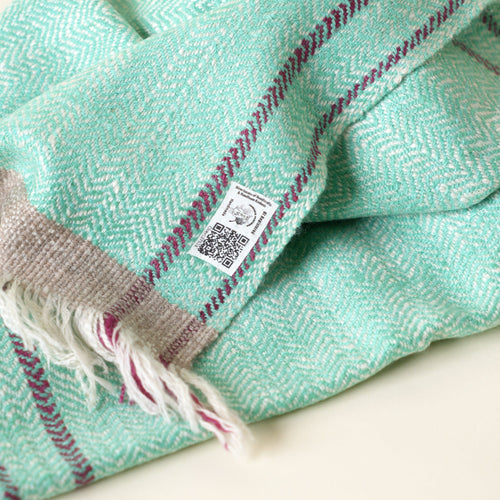GI-Tagged Pashmina: Know Everything About Certification & Authenticity