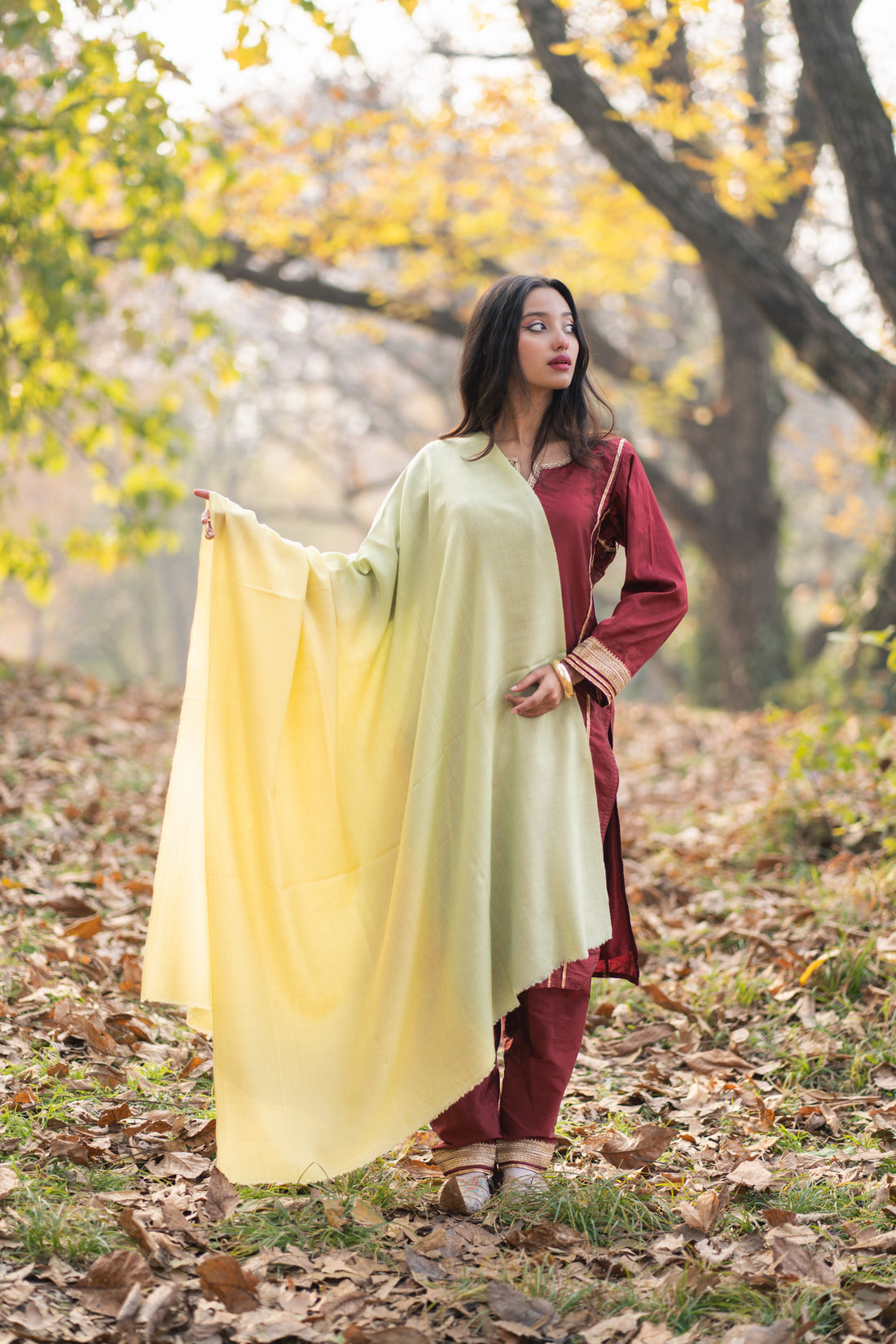 Is Kashmiri Pashmina Worth the Investment for US & UK Buyers?
