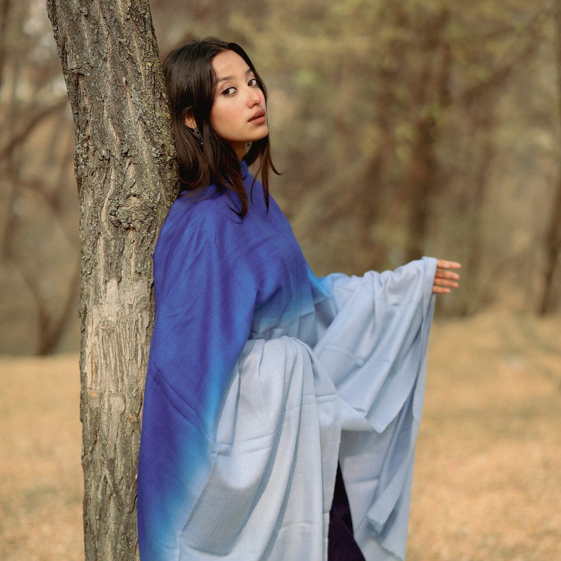 How to Buy Genuine Pashmina Online in India