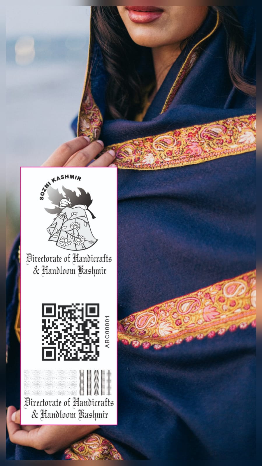 Why Pashmina Is Considered a Protected Geographical Craft