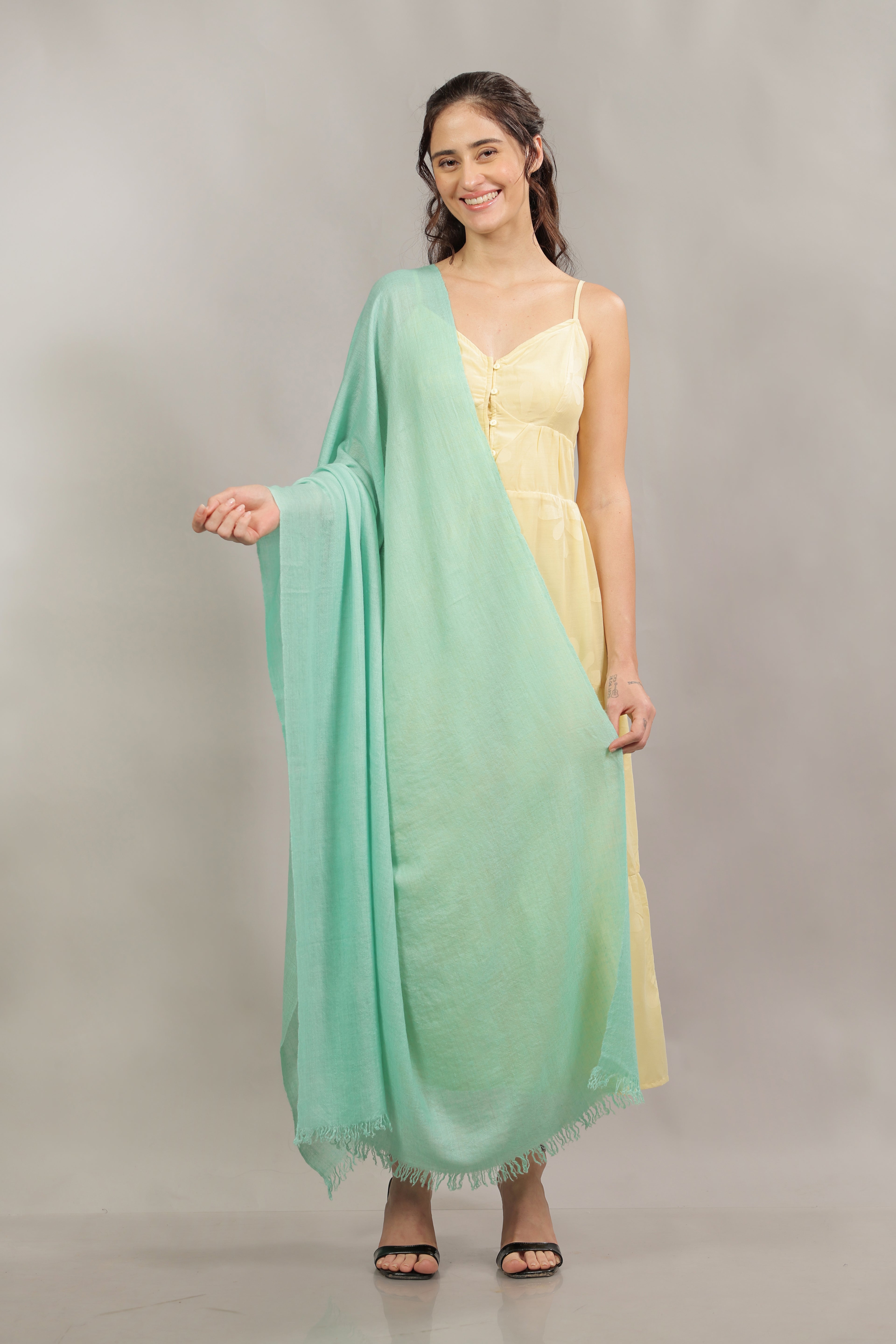 Mint Handspun Pashmina Shawl