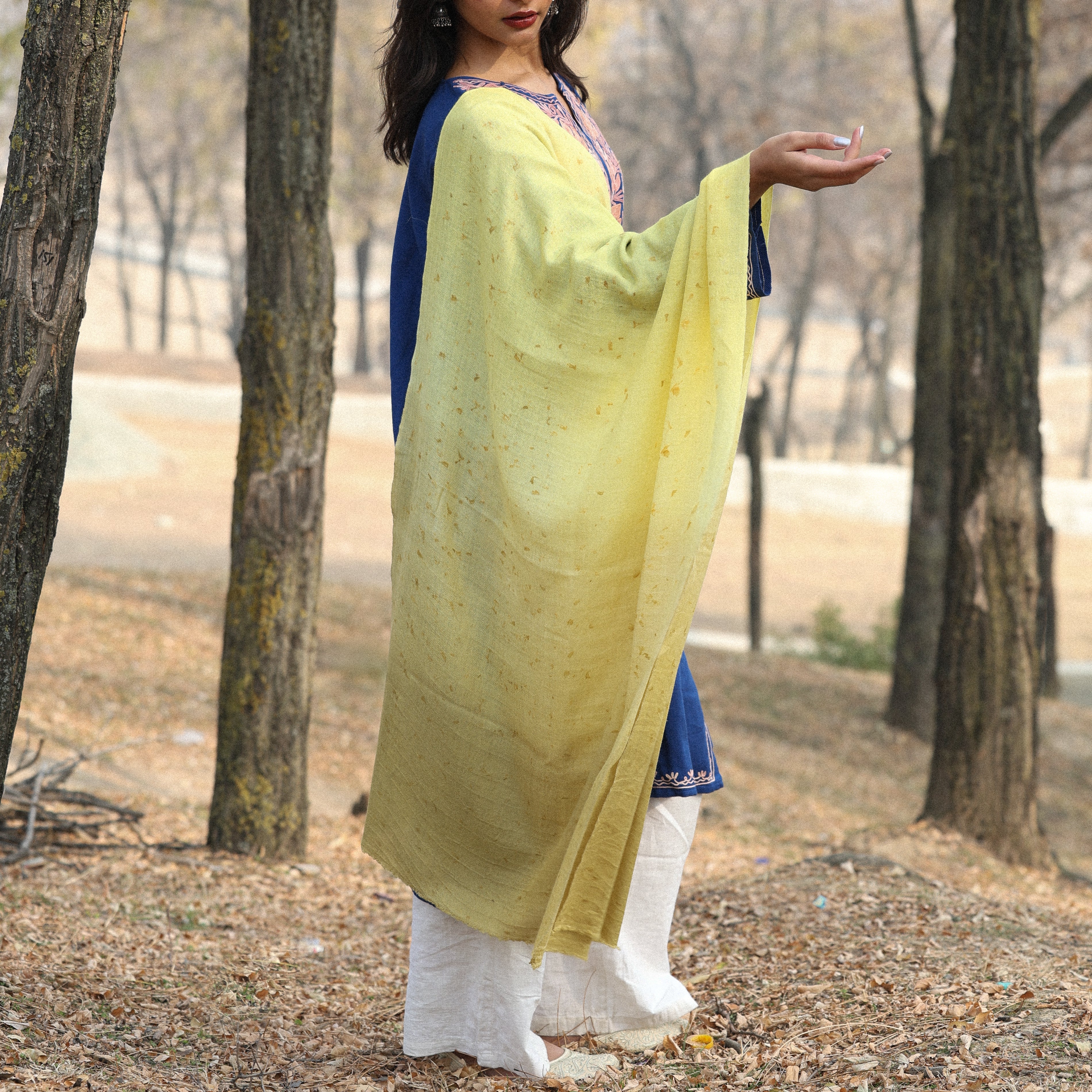 Yellow and Green Ombre Organic Flower Dyed Pashmina Wrap