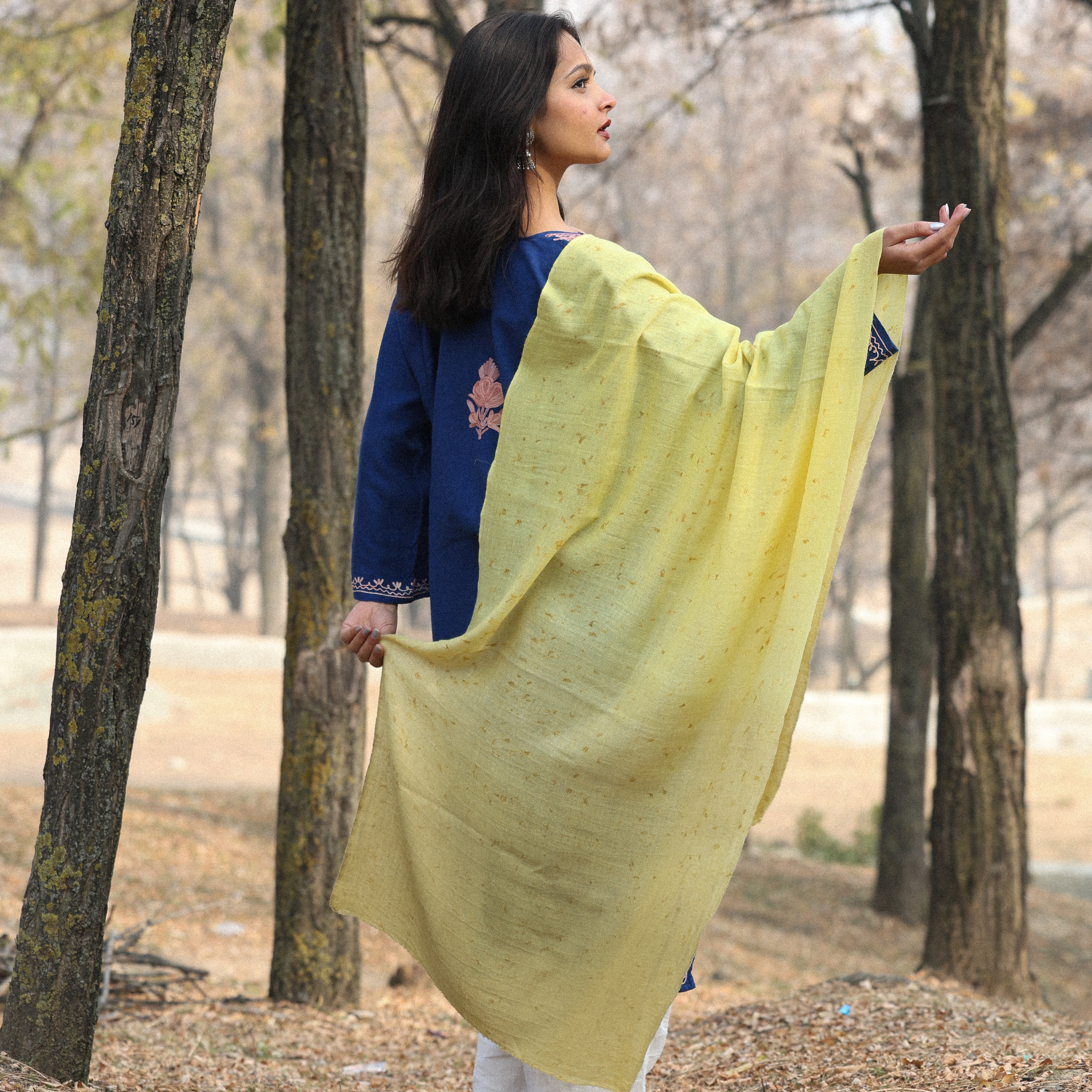 Yellow and Green Ombre Organic Flower Dyed Pashmina Wrap