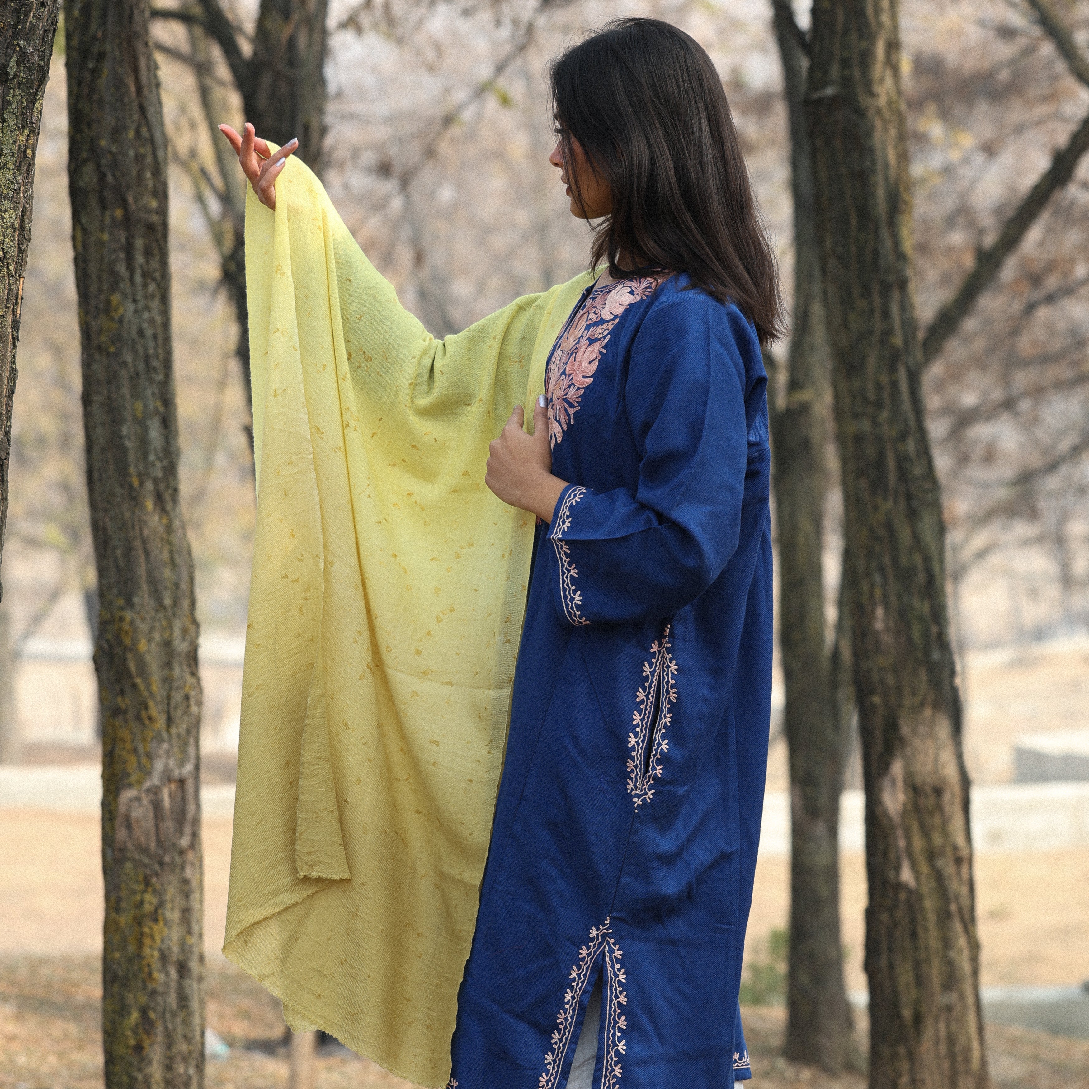 Yellow and Green Ombre Organic Flower Dyed Pashmina Wrap