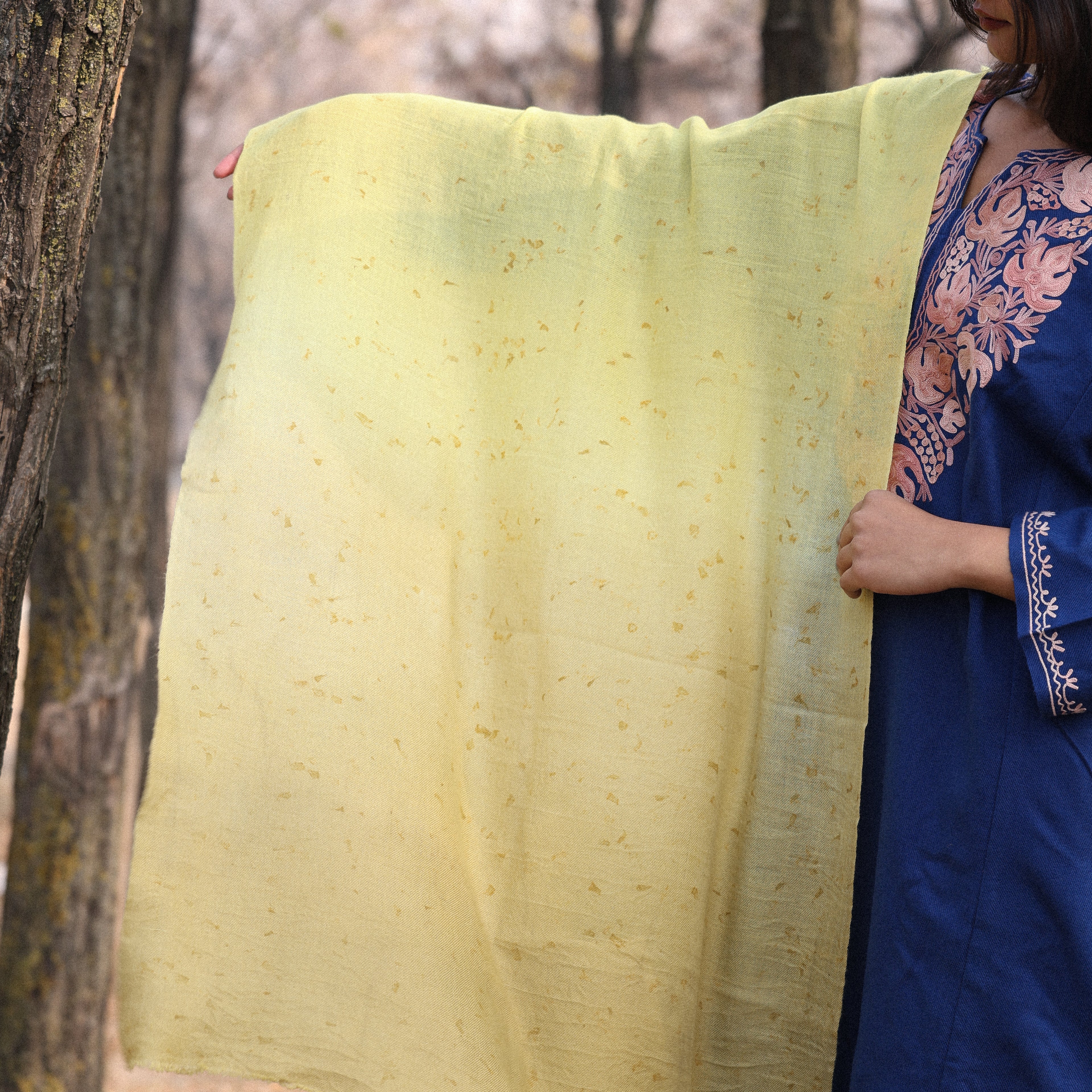 Yellow and Green Ombre Organic Flower Dyed Pashmina Wrap