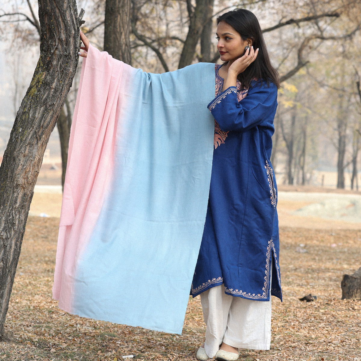Pink and Blue Ombre Pashmina Shawl