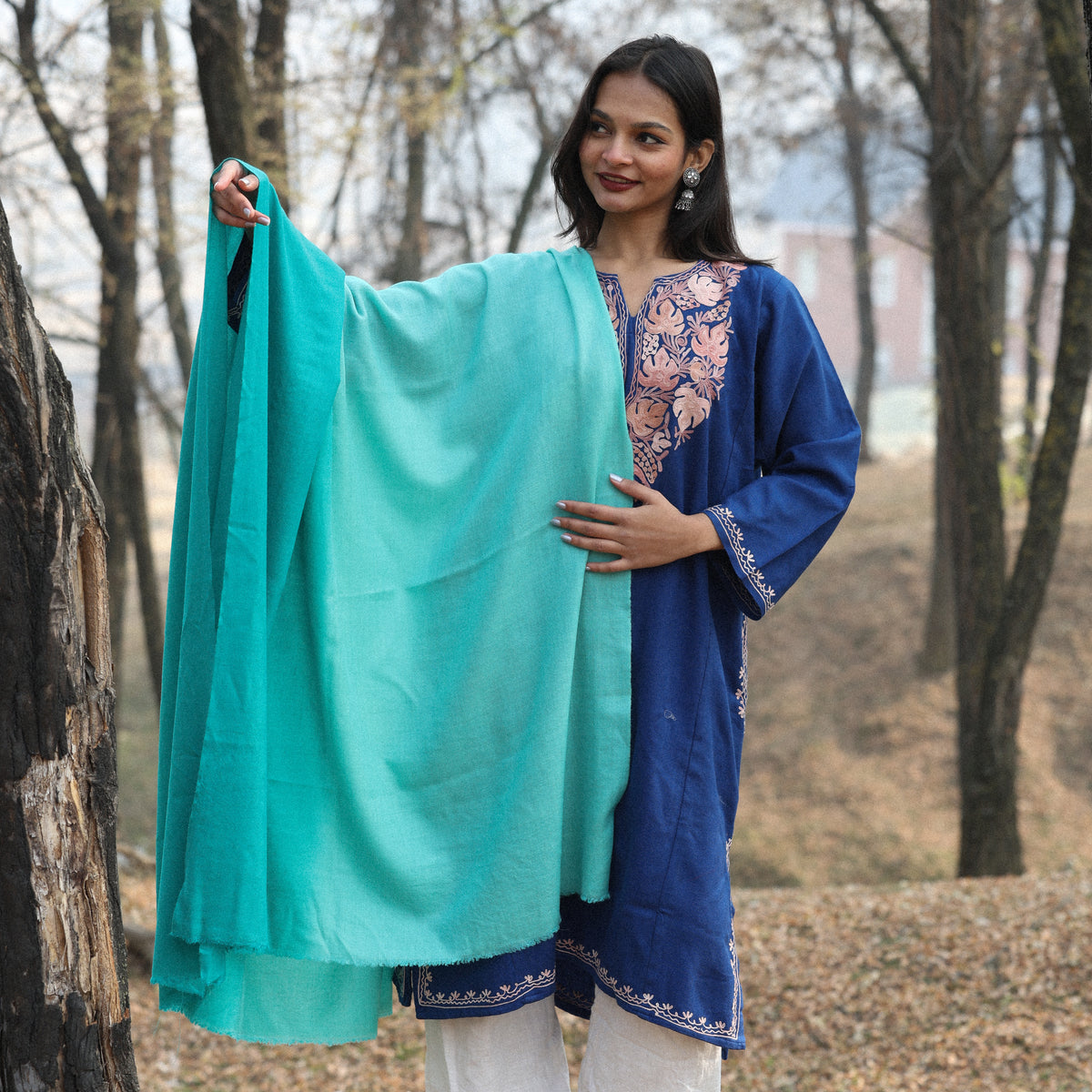 Teal Ombre Pashmina Shawl