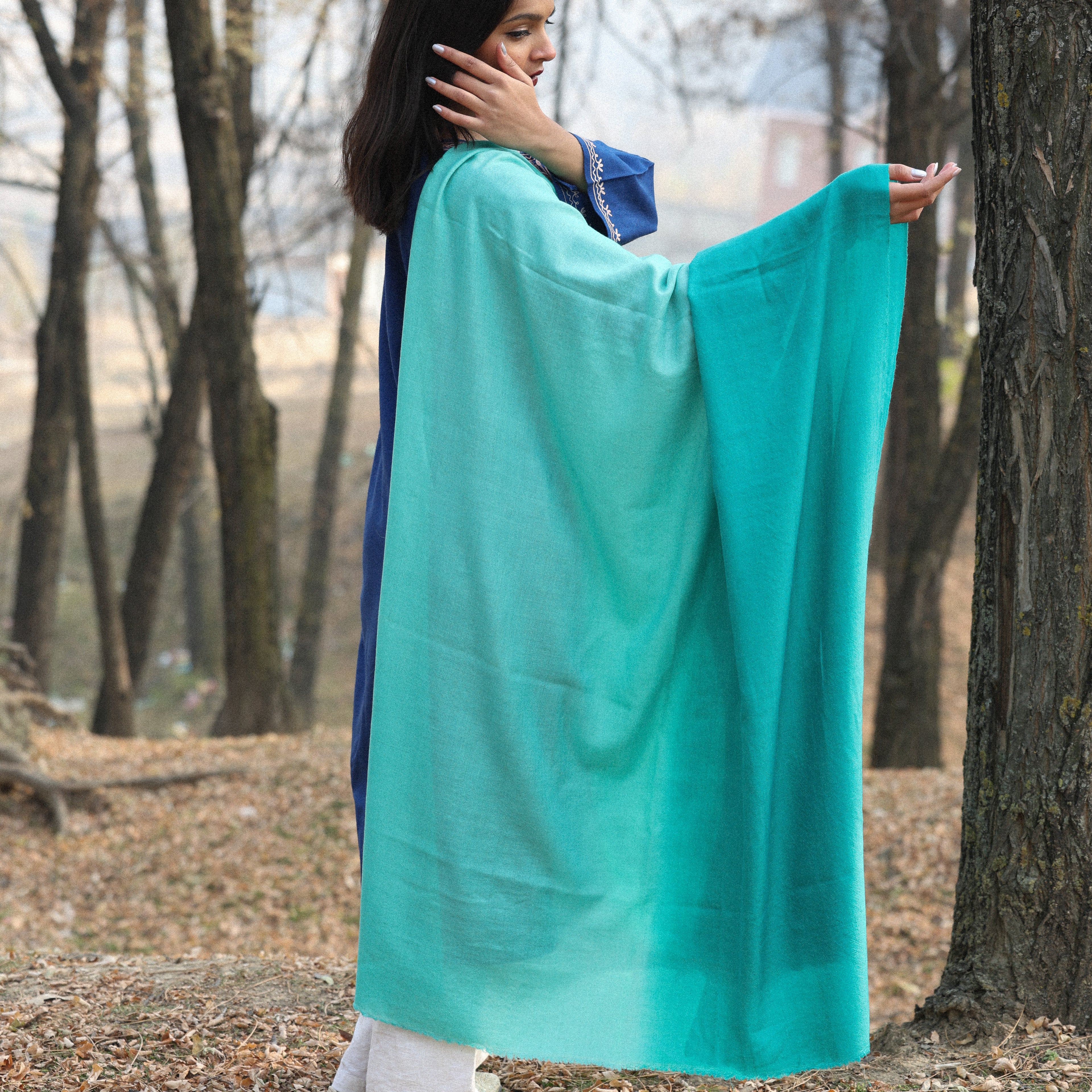 Teal Ombre Pashmina Shawl