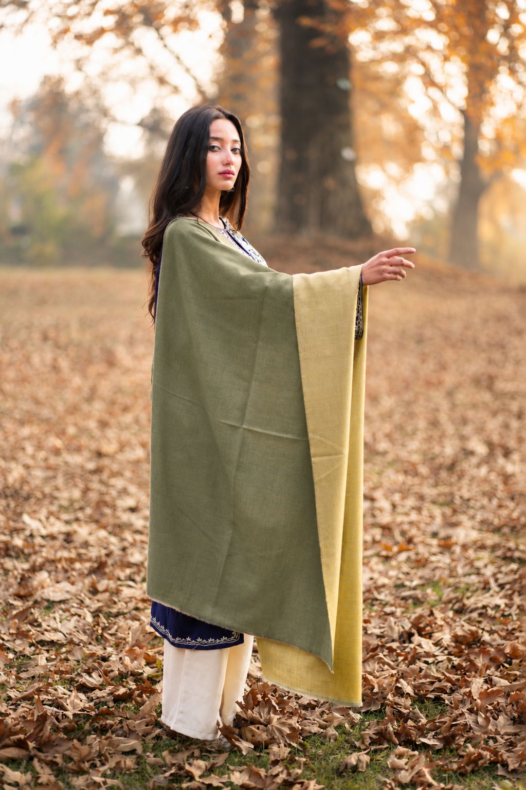 Green & Yellow Reversible Pashmina Shawl