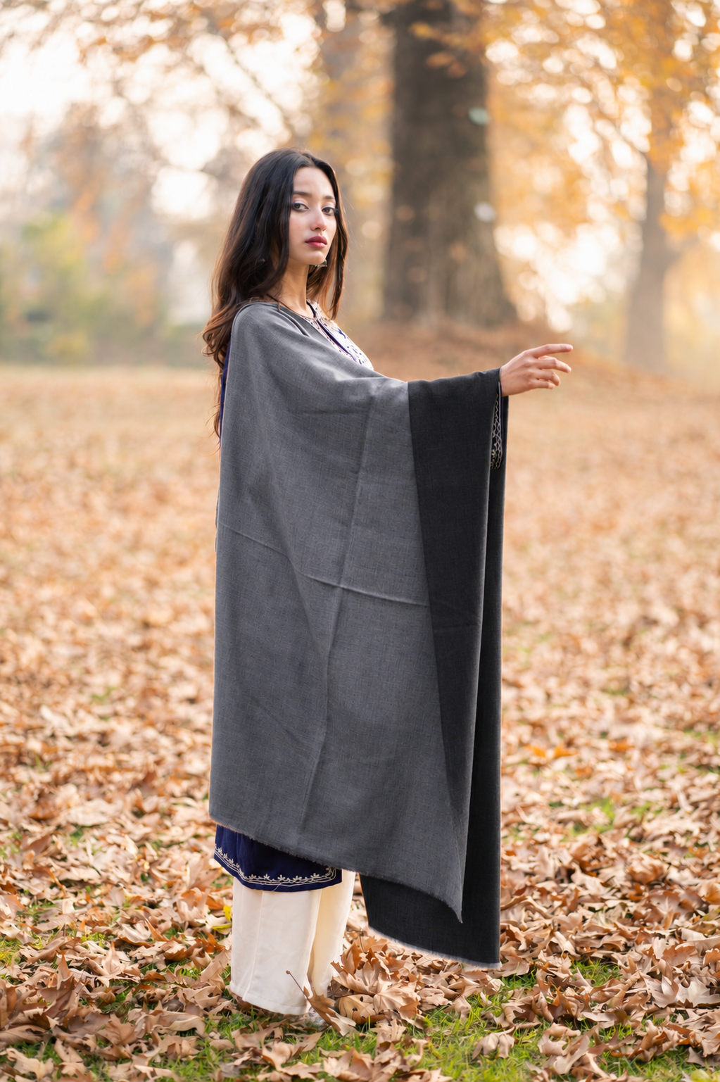 Grey & Black Reversible Pashmina Shawl