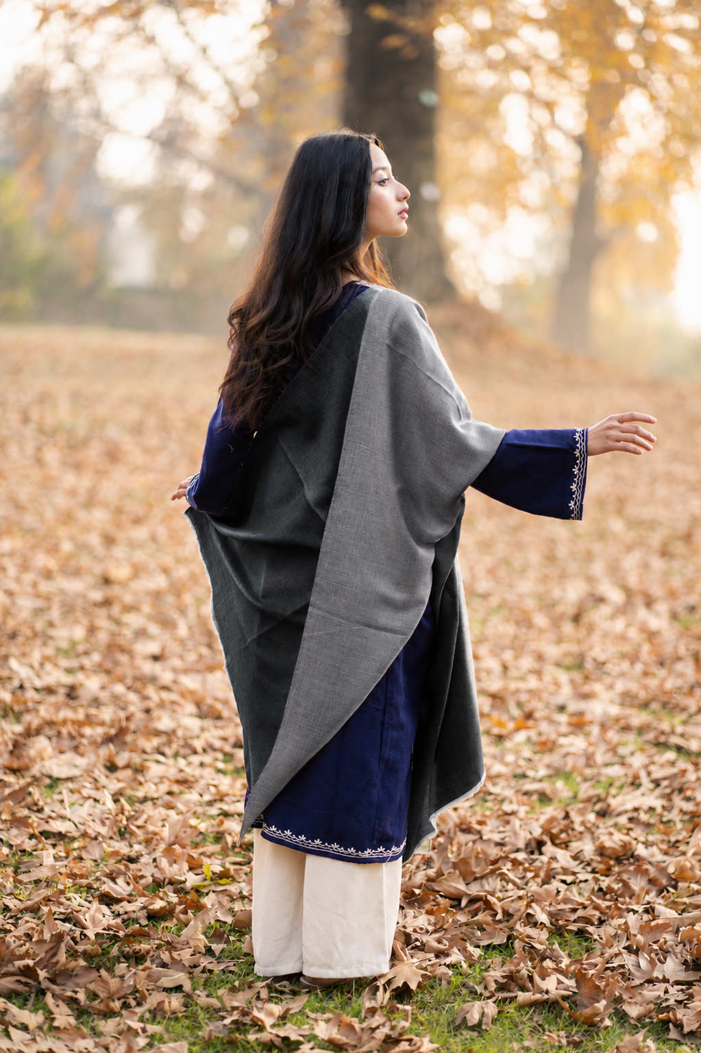 Grey & Black Reversible Pashmina Shawl