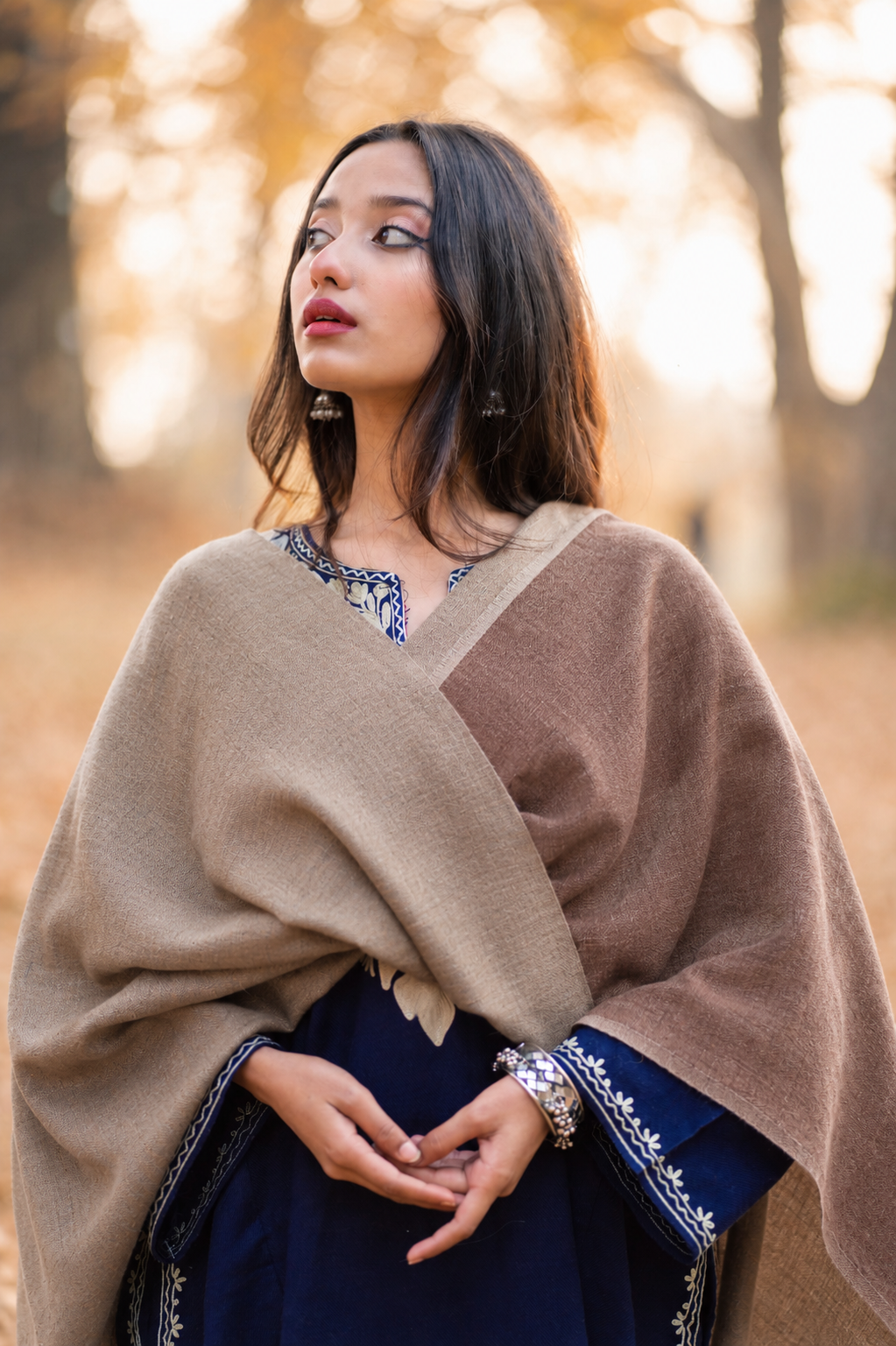Beige & Brown Reversible Pashmina Shawl