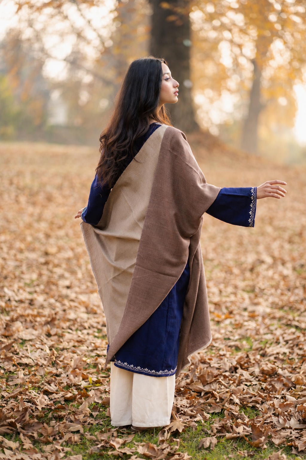 Beige & Brown Reversible Pashmina Shawl