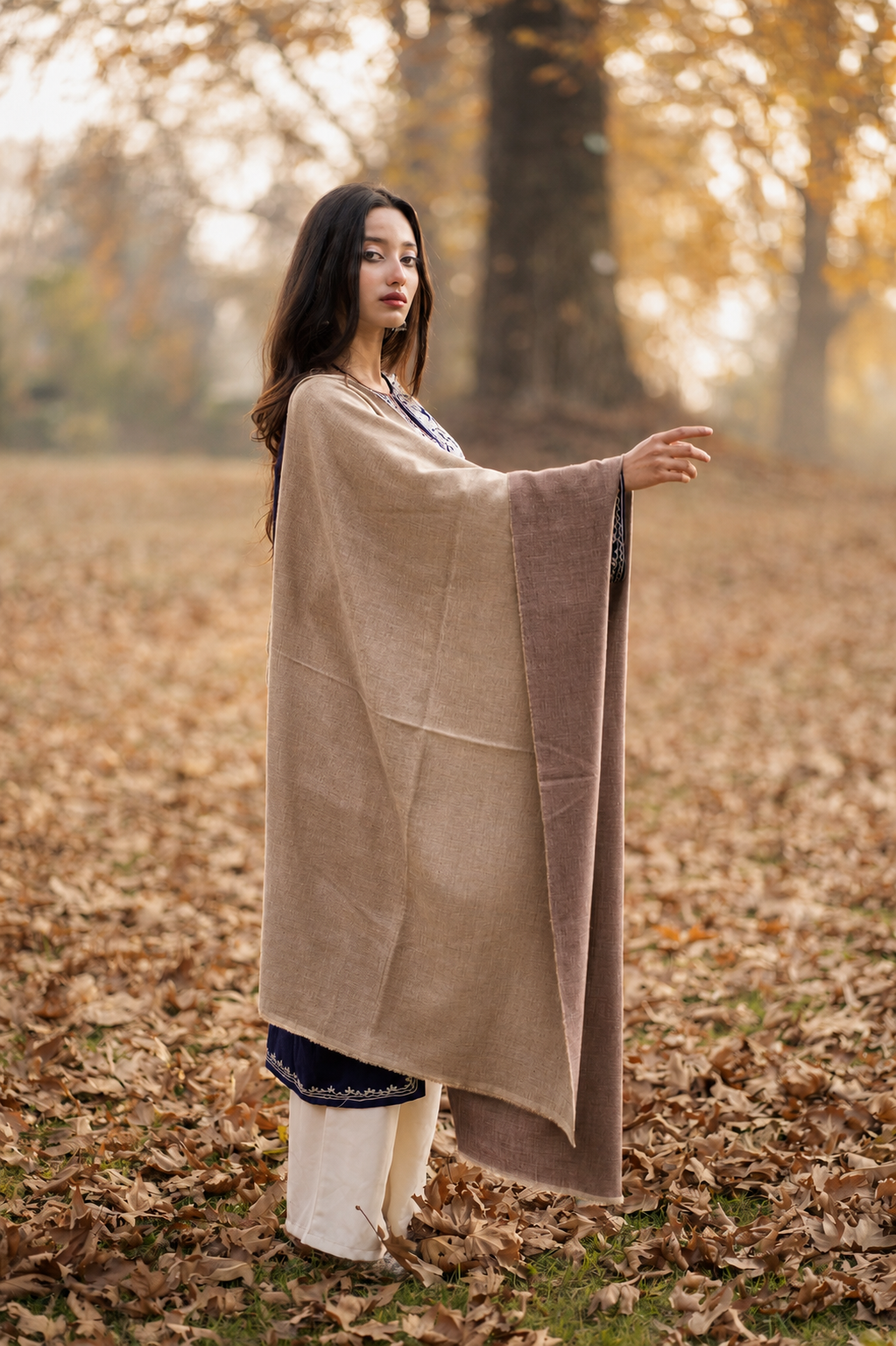 Beige & Brown Reversible Pashmina Shawl