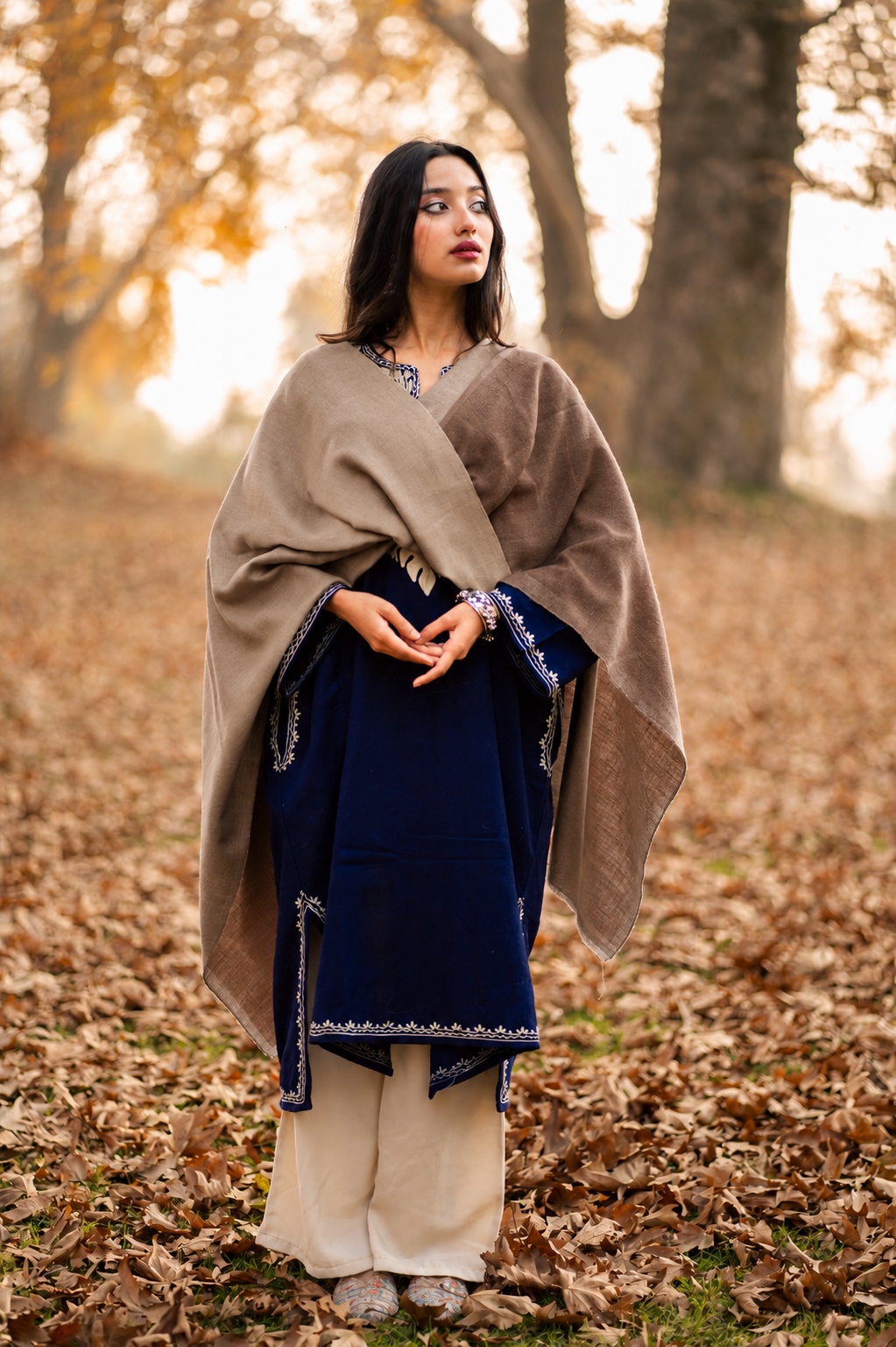 Beige & Brown Reversible Pashmina Shawl