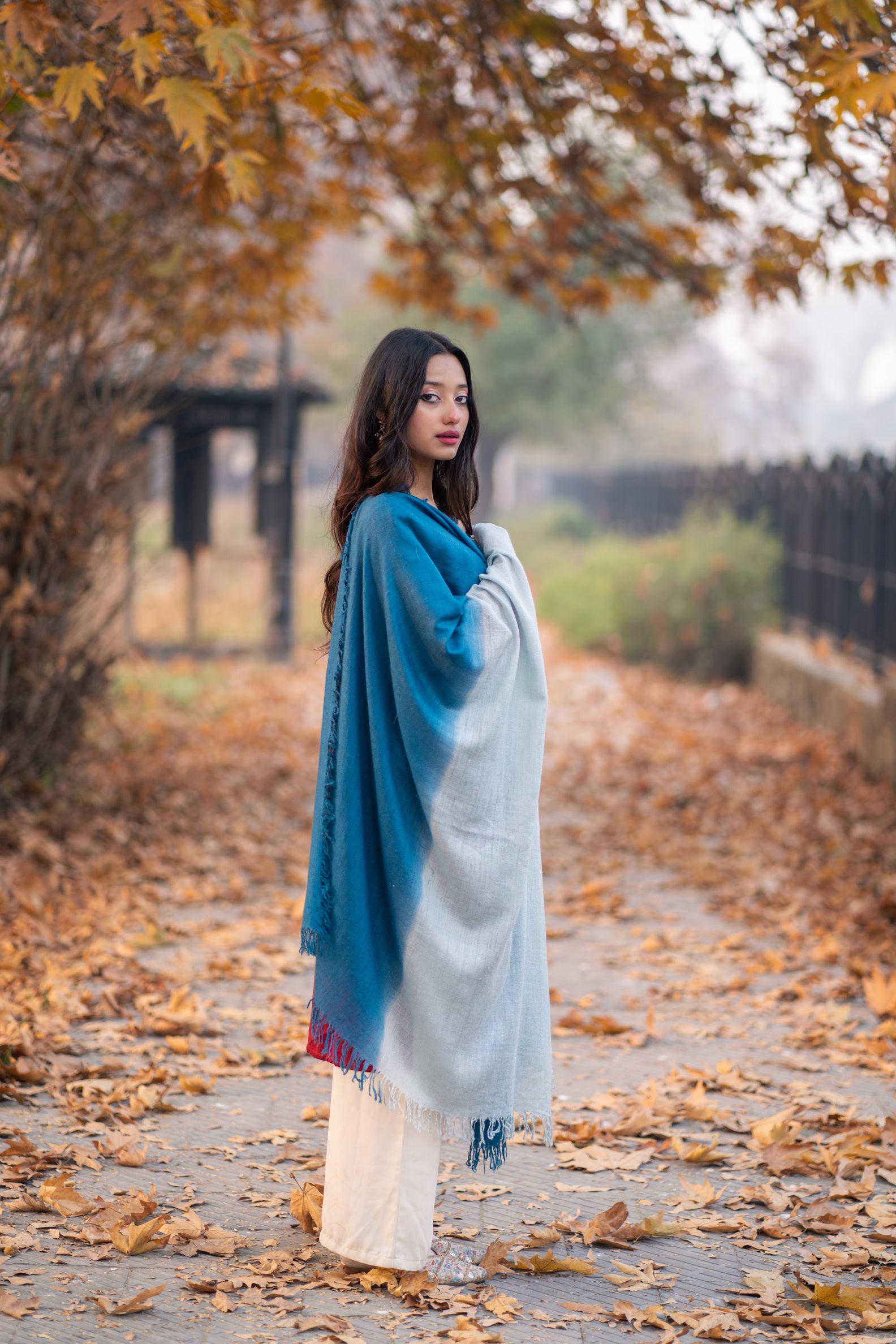 Blue Ombre Handspun Pashmina Shawl