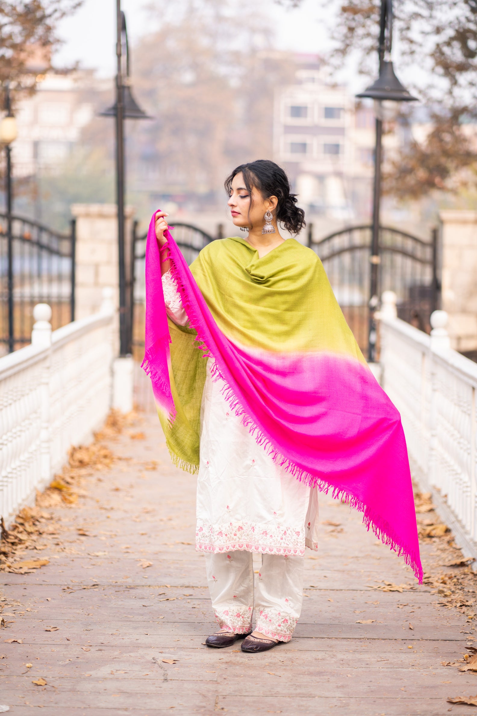 Pink and Green Ombre Handspun Pashmina Shawl