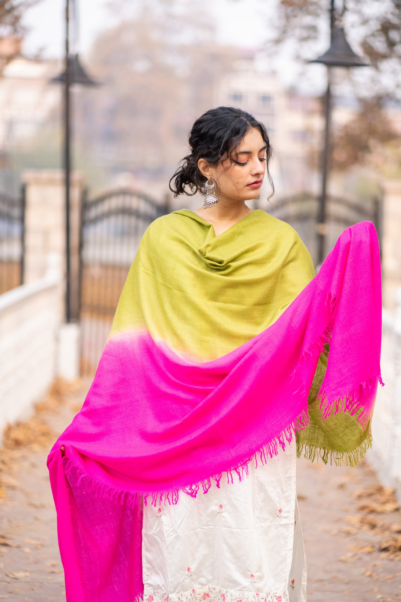 Pink and Green Ombre Handspun Pashmina Shawl