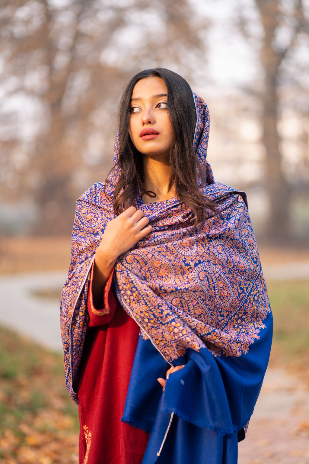 Blue Sozni Hand Embroidered Jamawar Pashmina Shawl