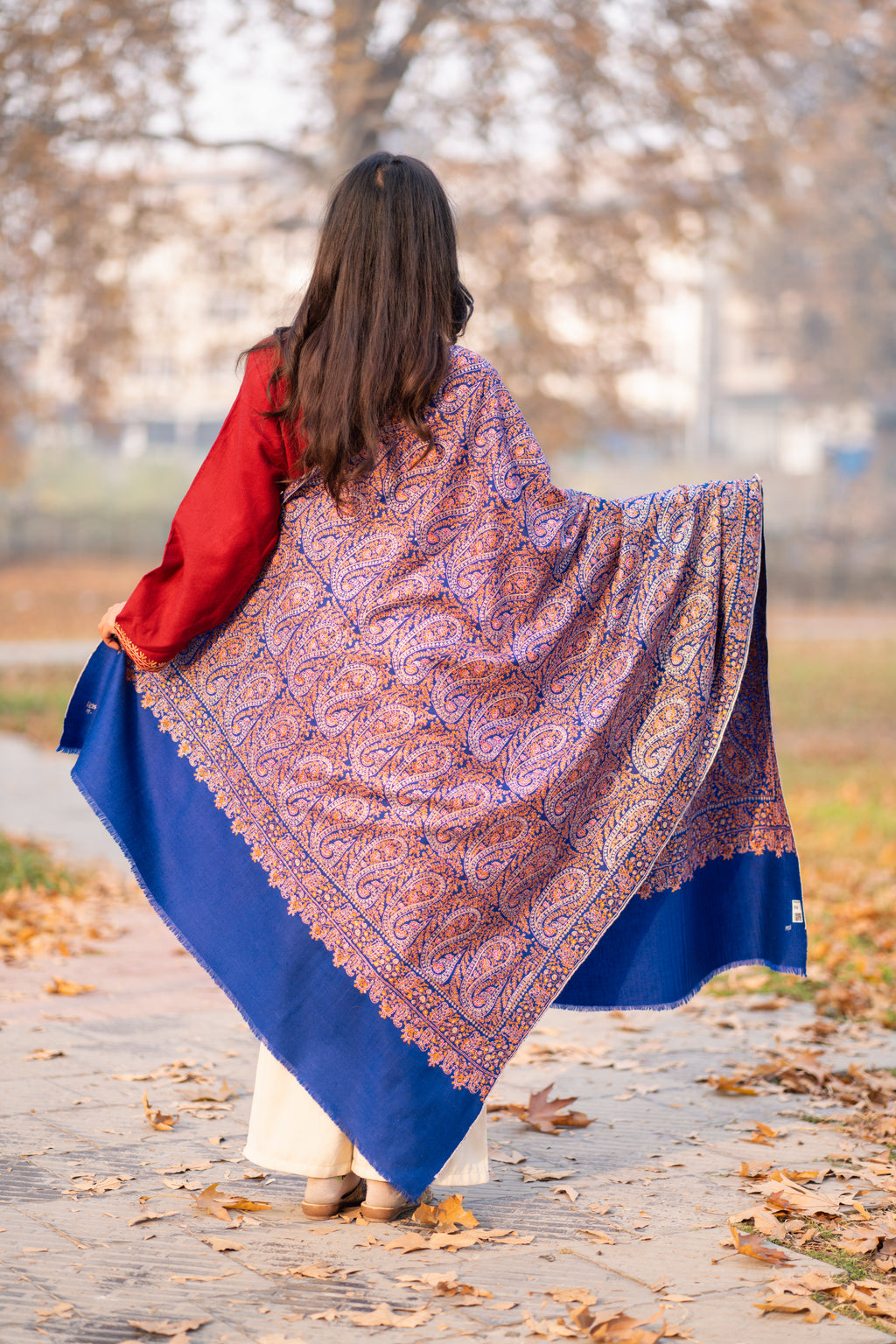 Blue Sozni Hand Embroidered Jamawar Pashmina Shawl