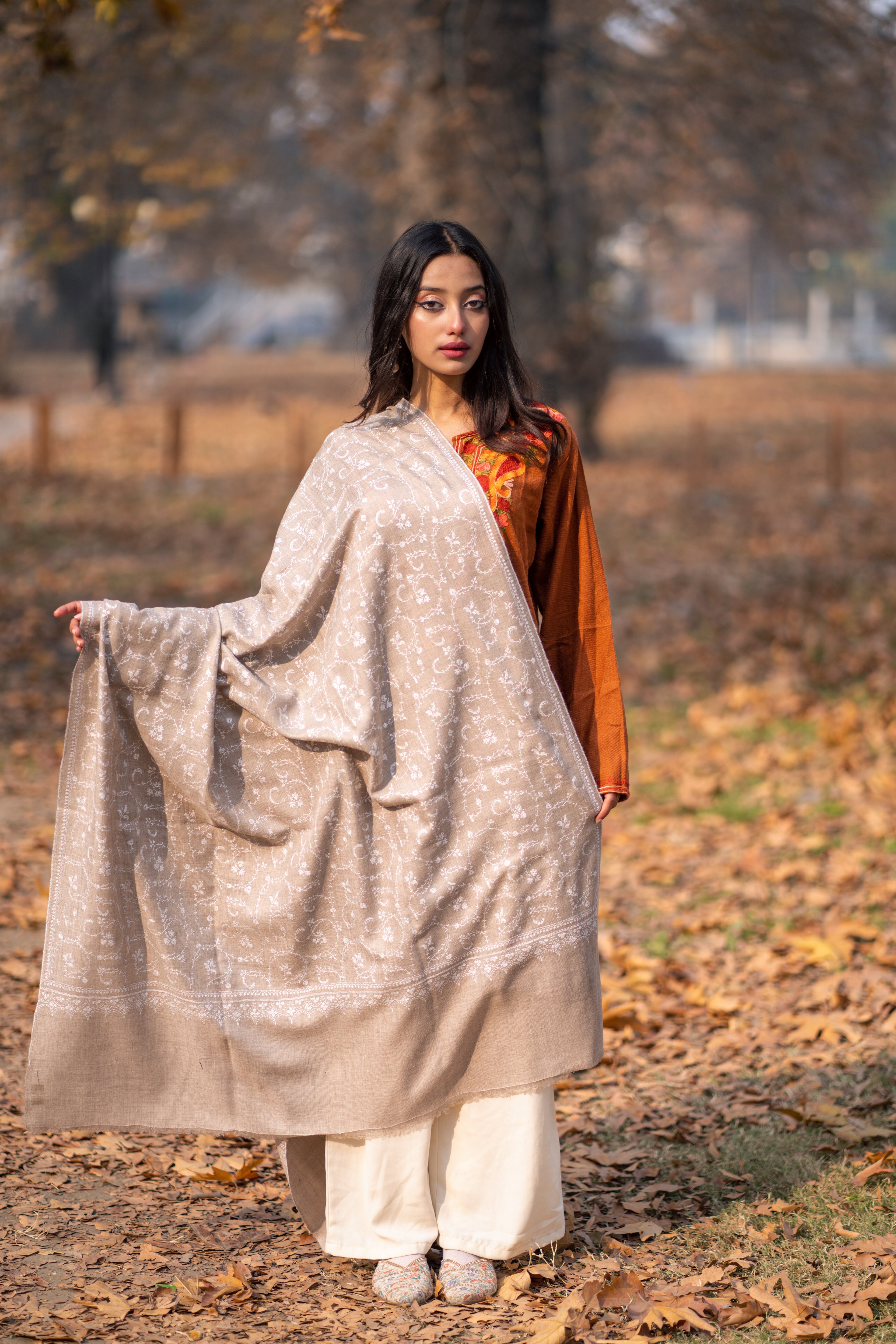 Beige Hand Embroidered Jaal Pashmina Shawl