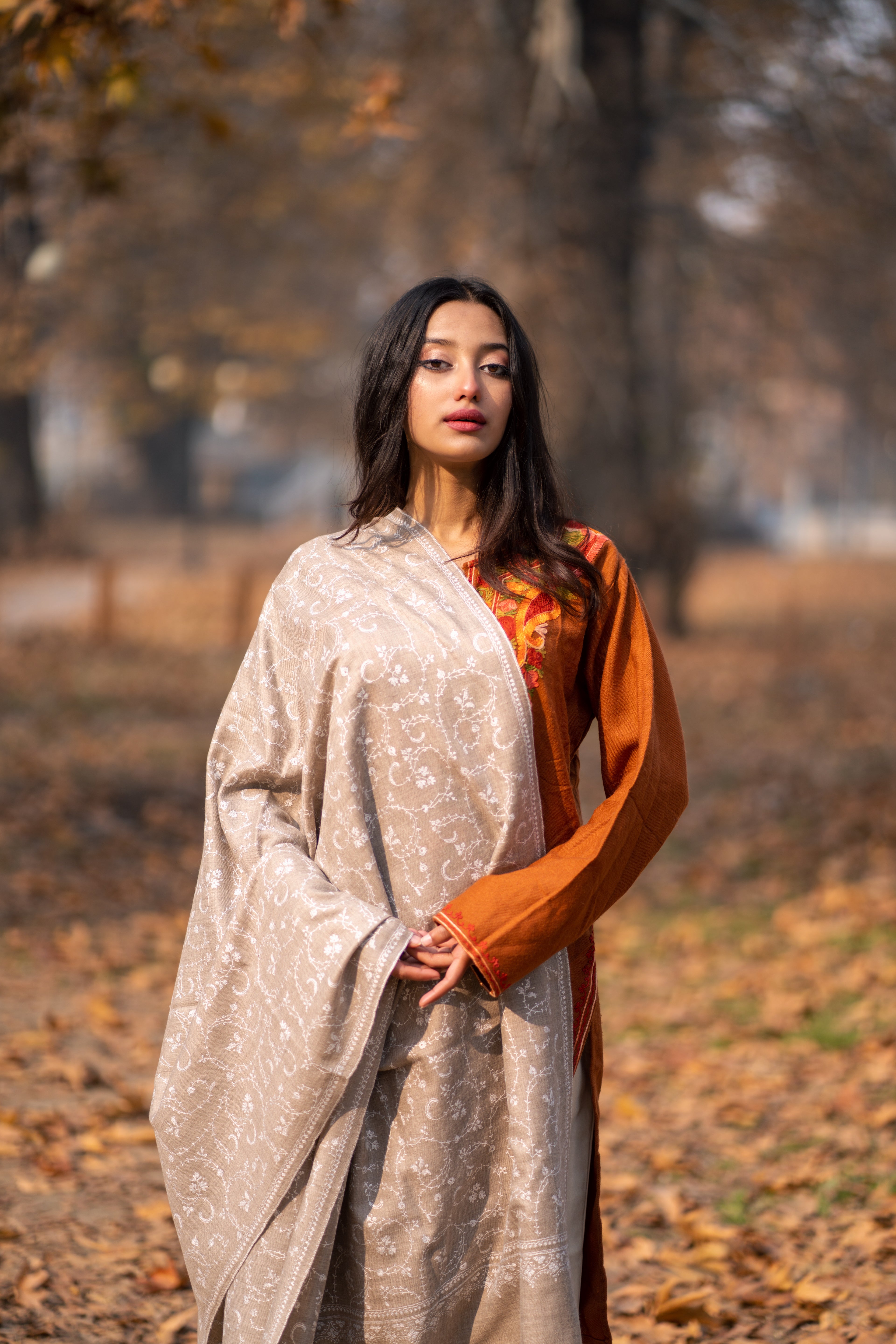 Beige Hand Embroidered Jaal Pashmina Shawl