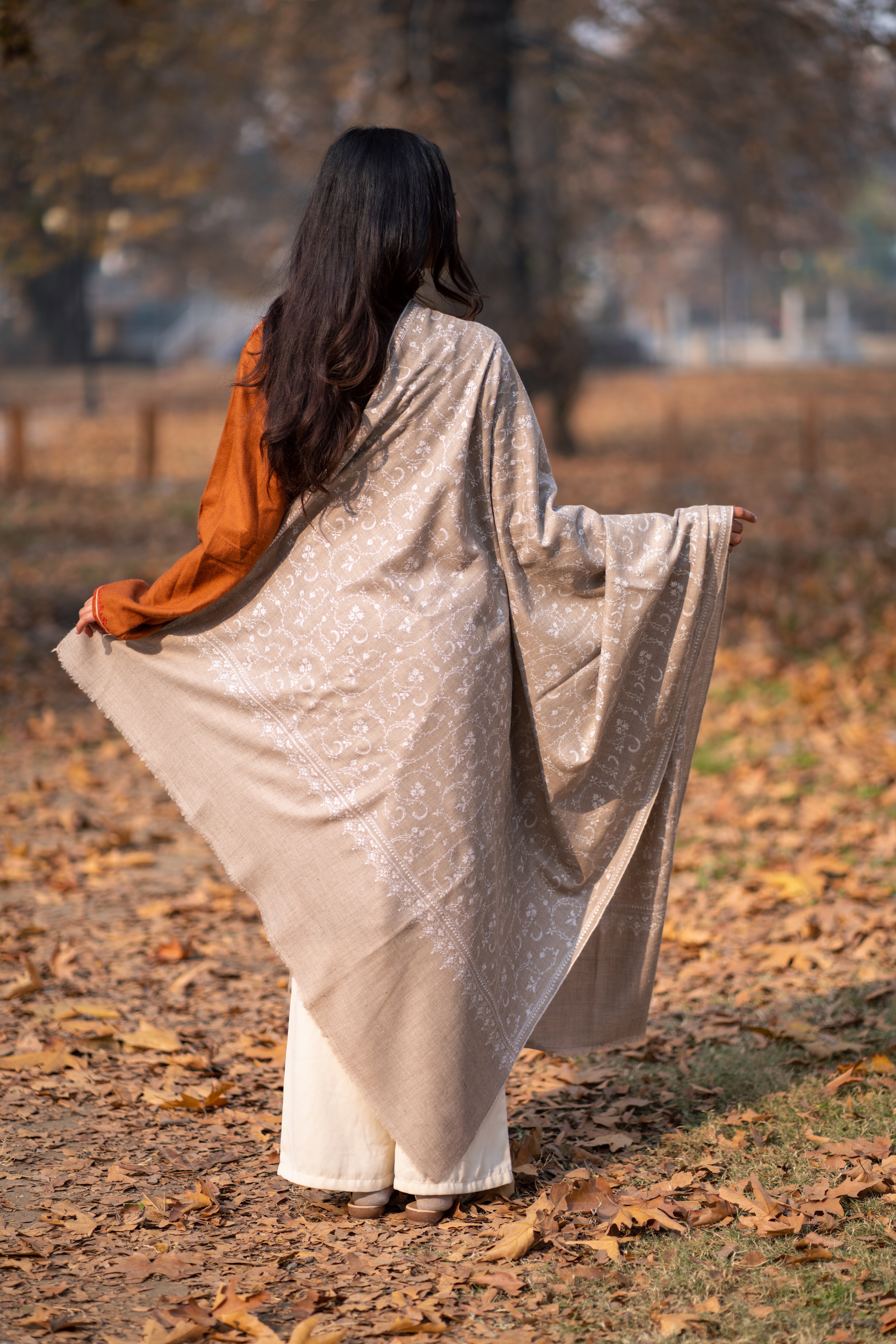 Beige Hand Embroidered Jaal Pashmina Shawl