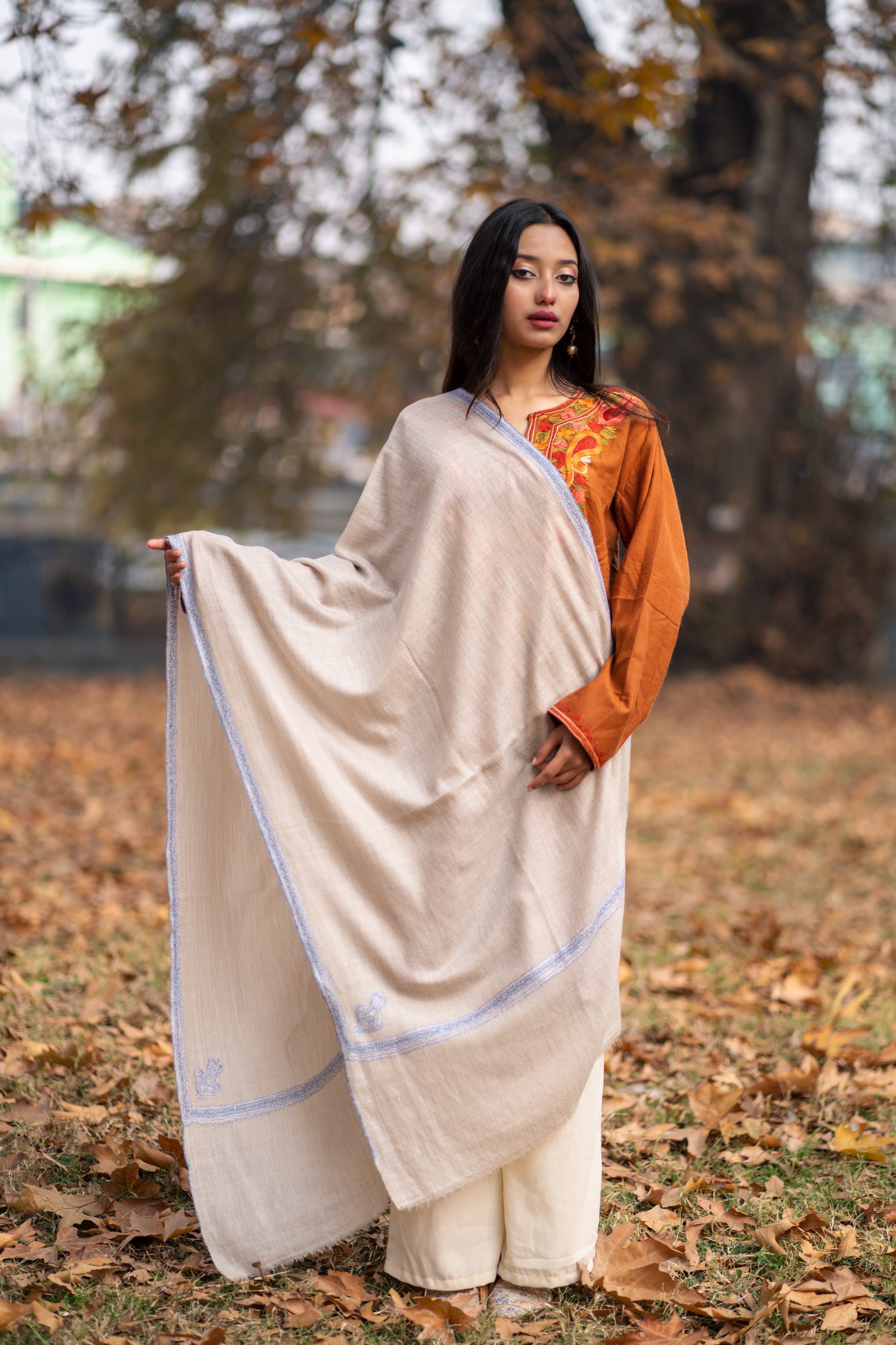 Embroidered Pashmina – pashmsutra