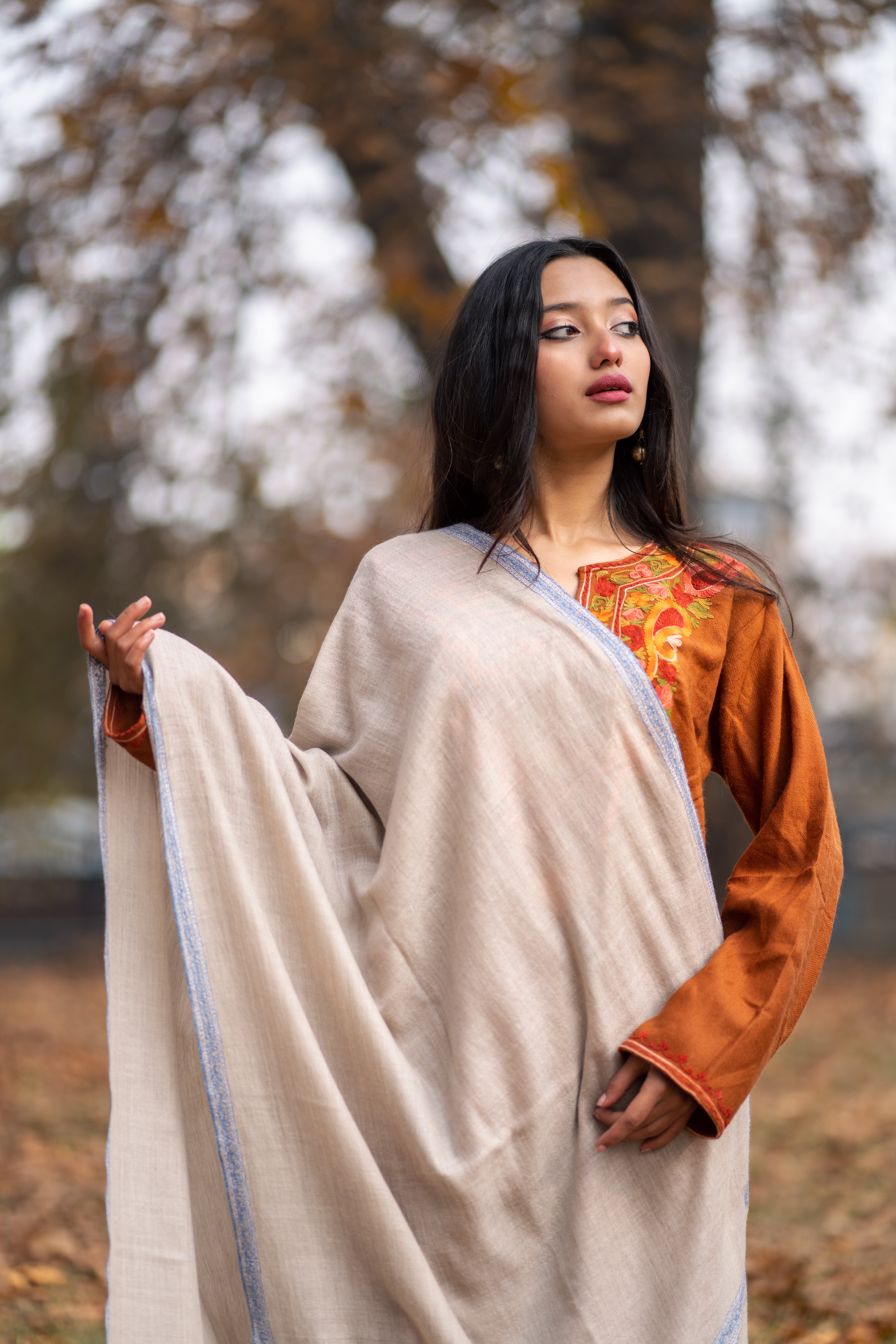 Embroidered Pashmina – pashmsutra