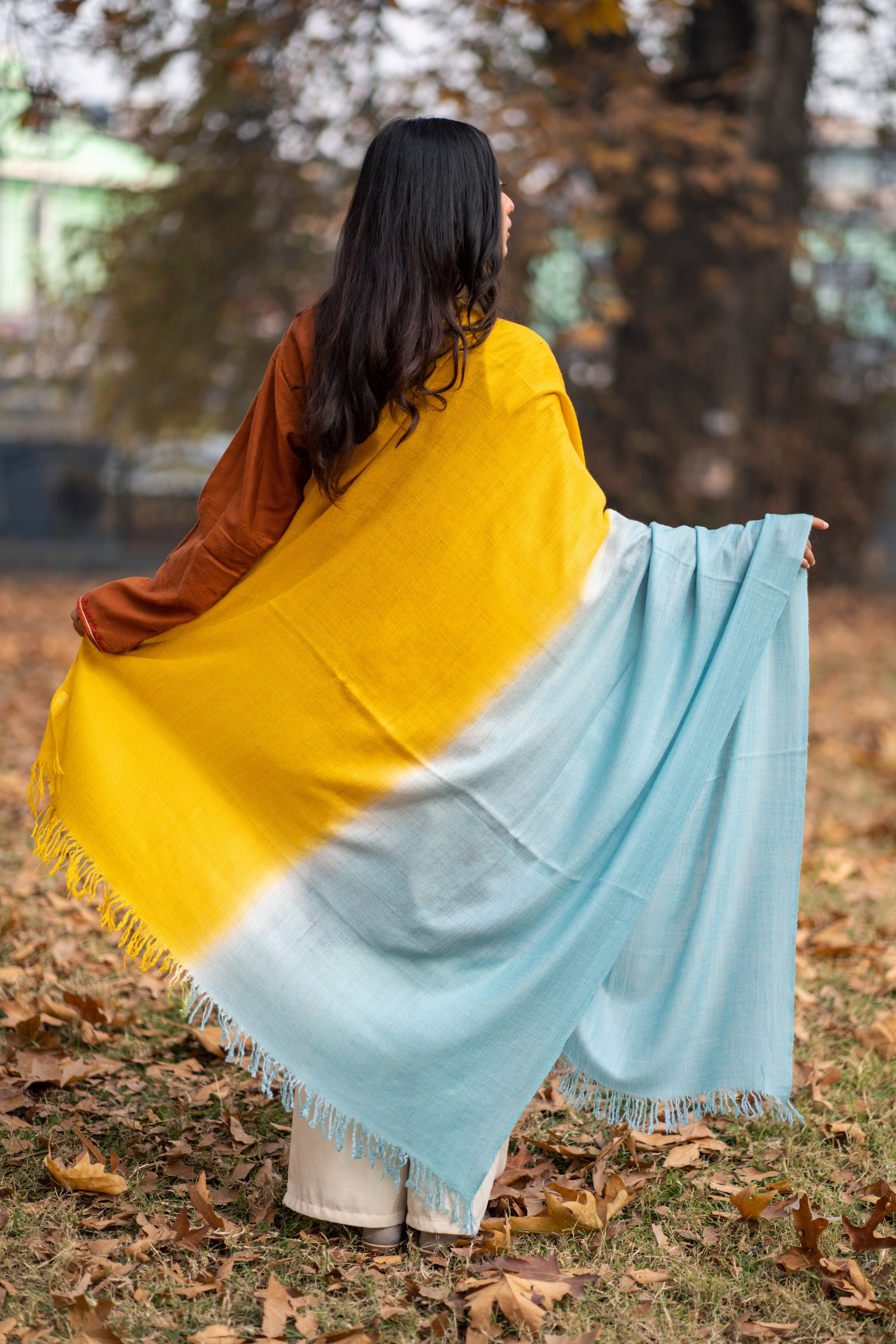 Mustard and Blue Ombre Handspun Pashmina Shawl