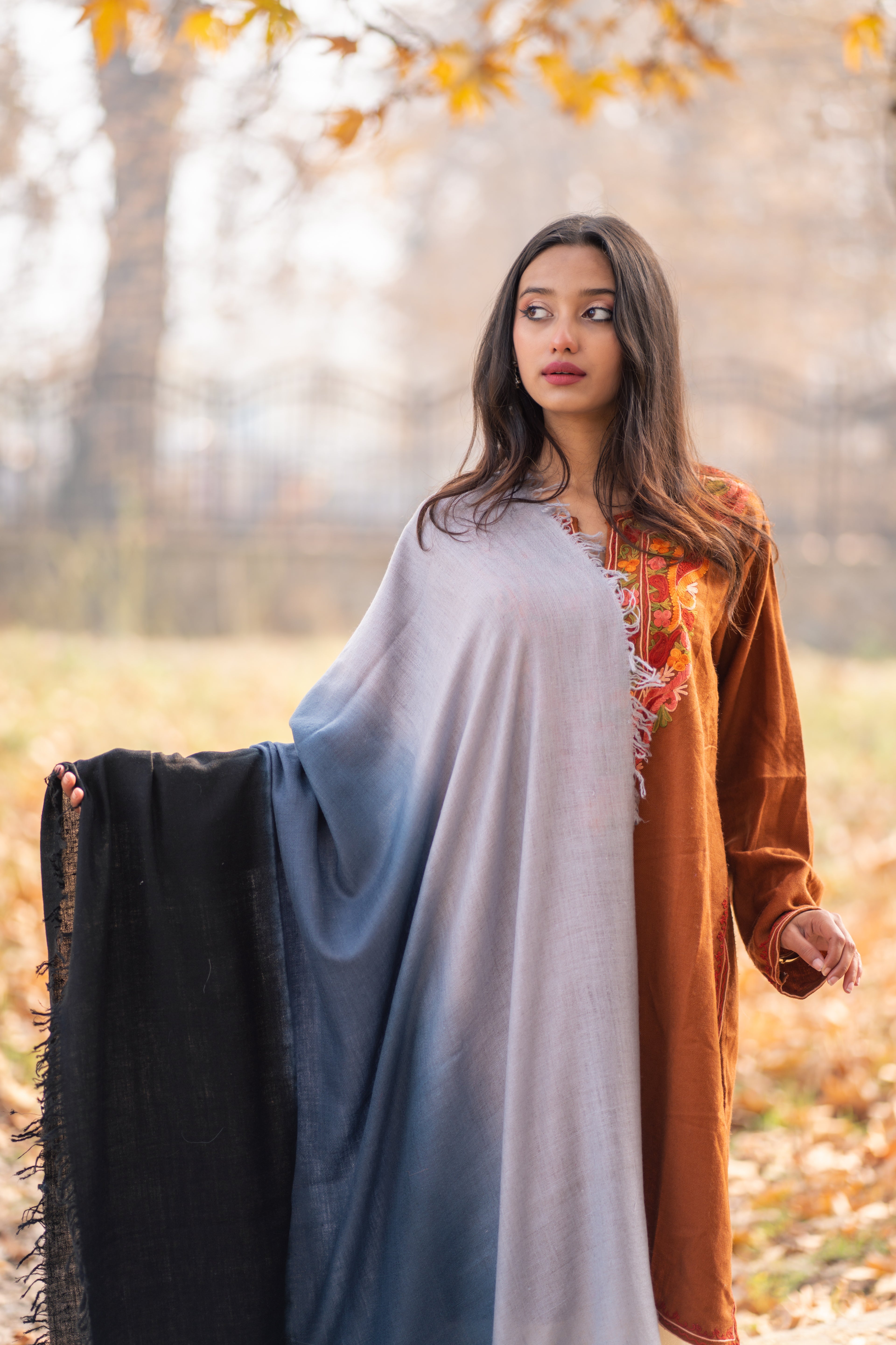 Grey and Black Ombre Handspun Pashmina Shawl