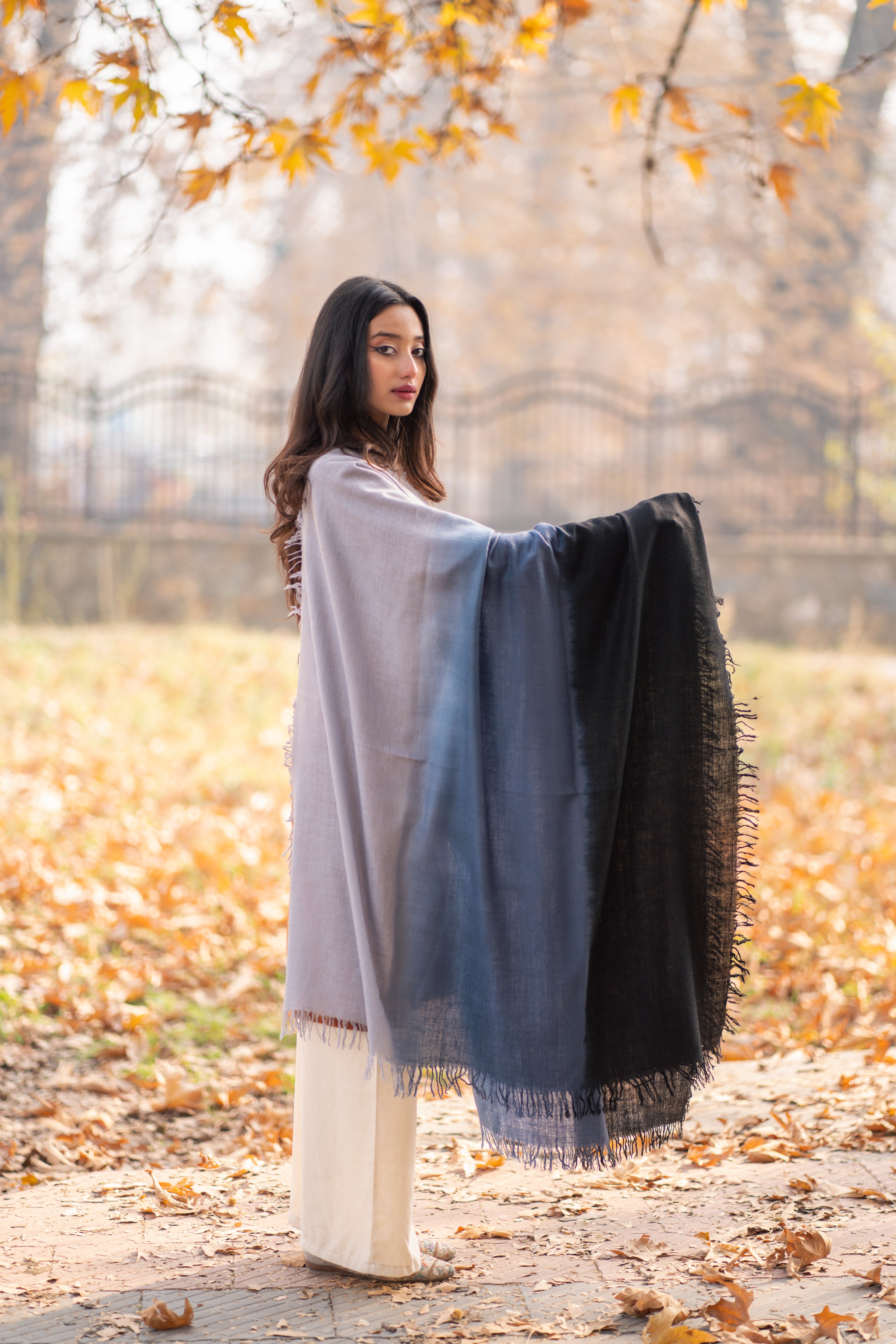 Grey and Black Ombre Handspun Pashmina Shawl