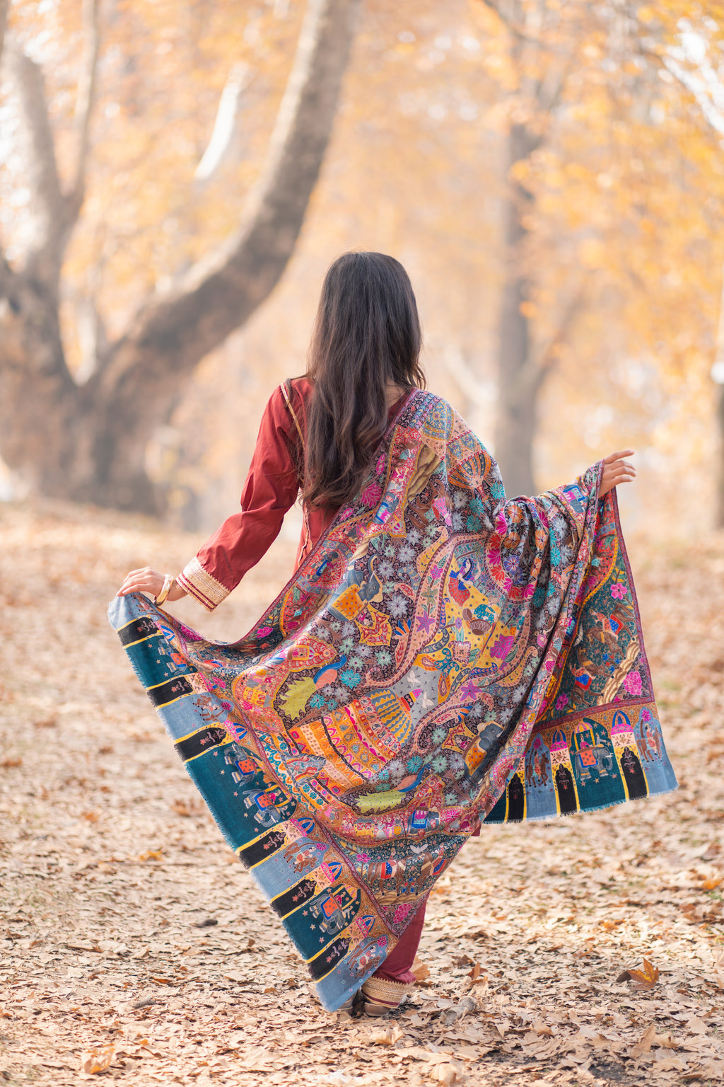 The Royal Caravan Kalamkari Pashmina Shawl