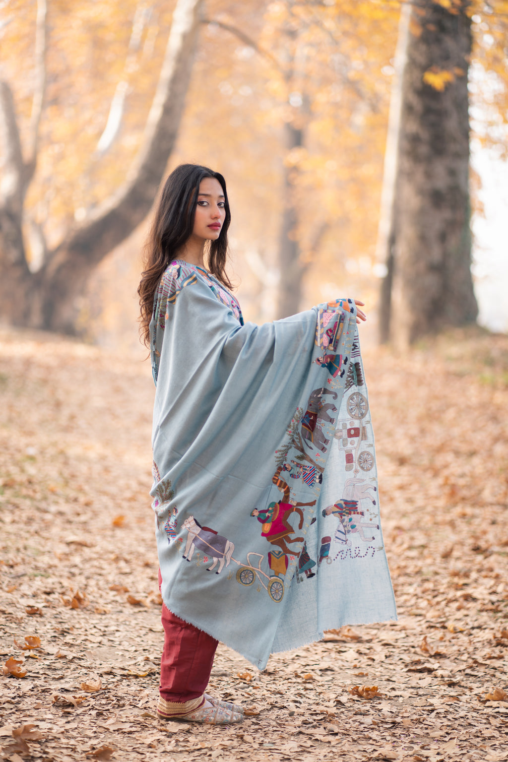 The Majestic Yatra Kalamkari Pashmina Shawl