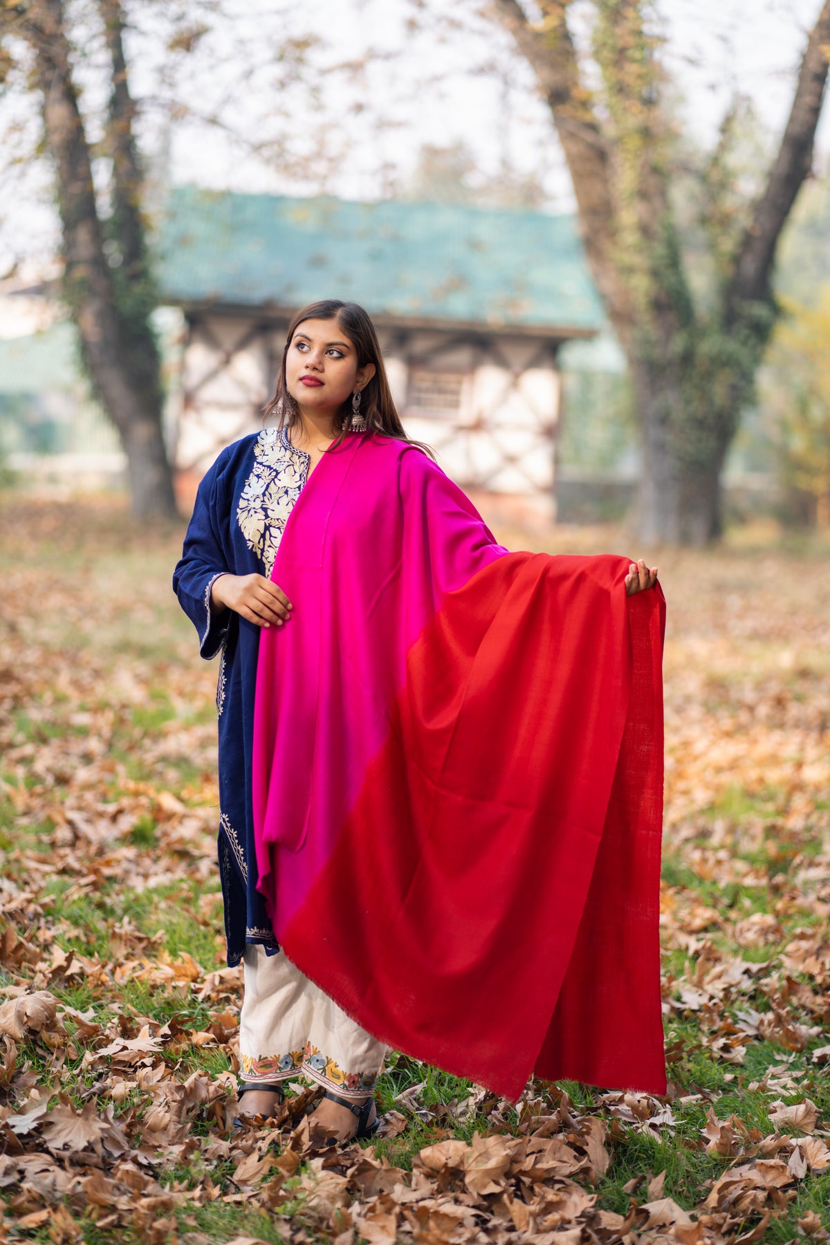 Red and Magenta  Ombre Pashmina Shawl