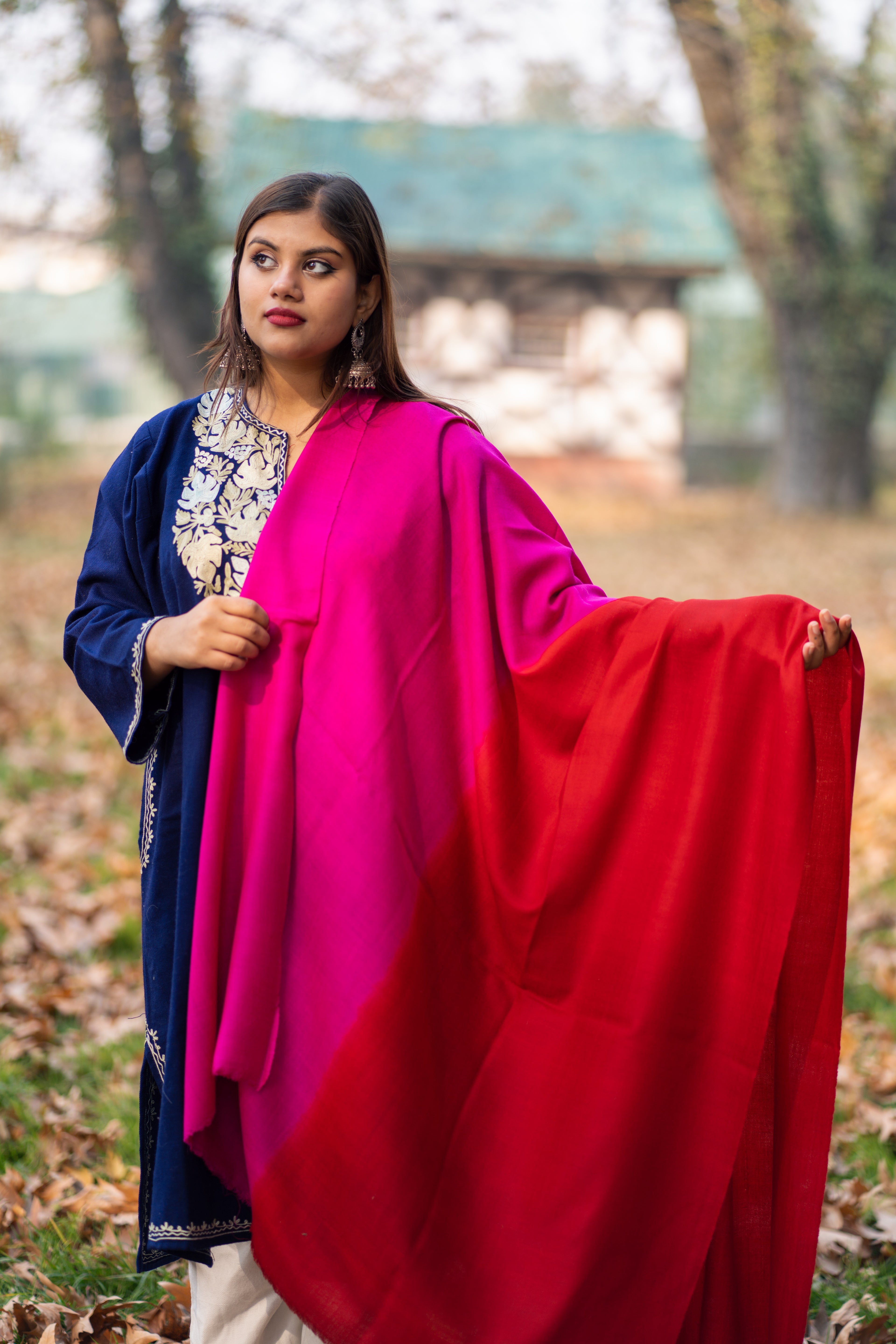 Red and Magenta  Ombre Pashmina Shawl