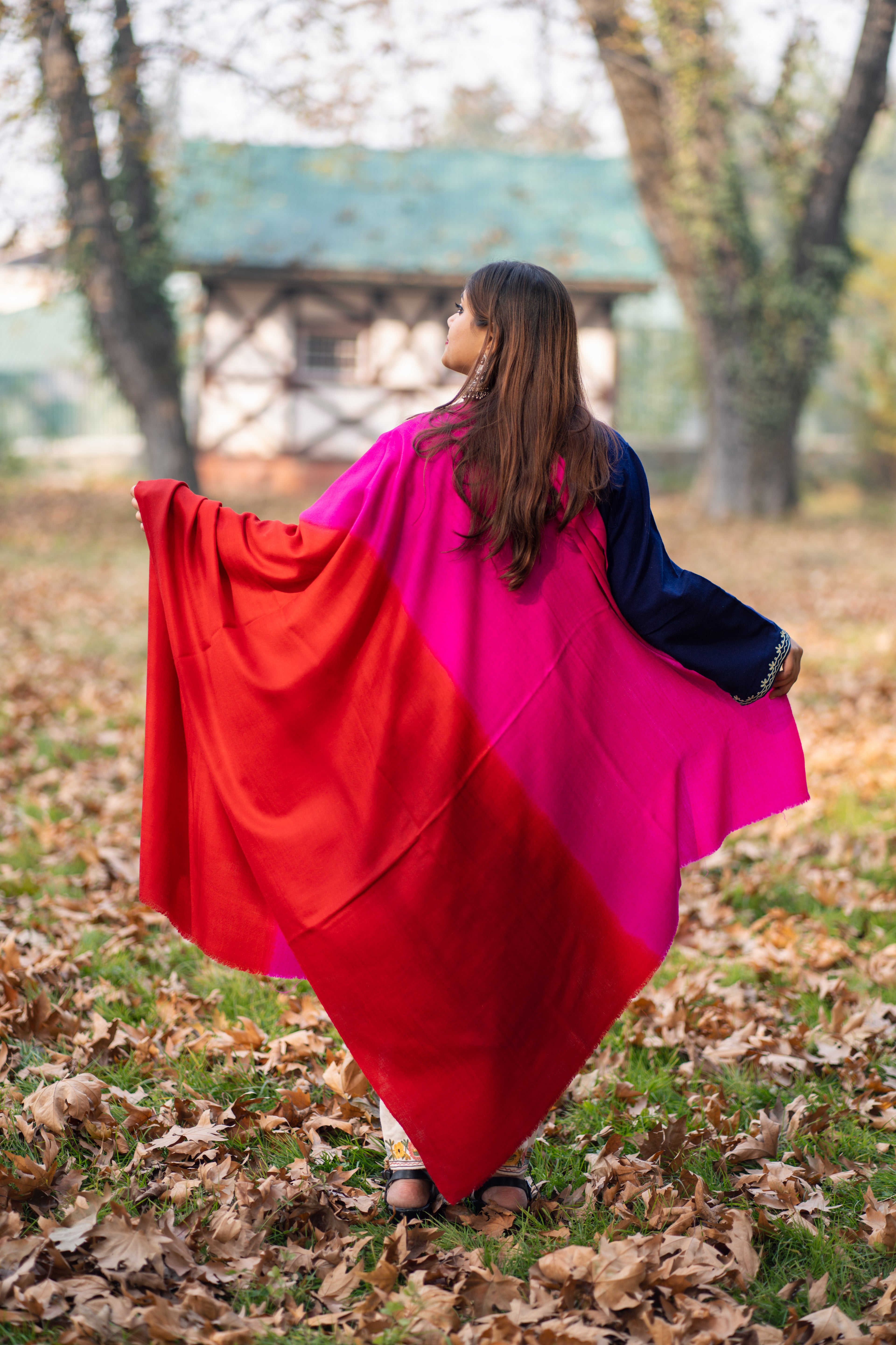 Red and Magenta  Ombre Pashmina Shawl