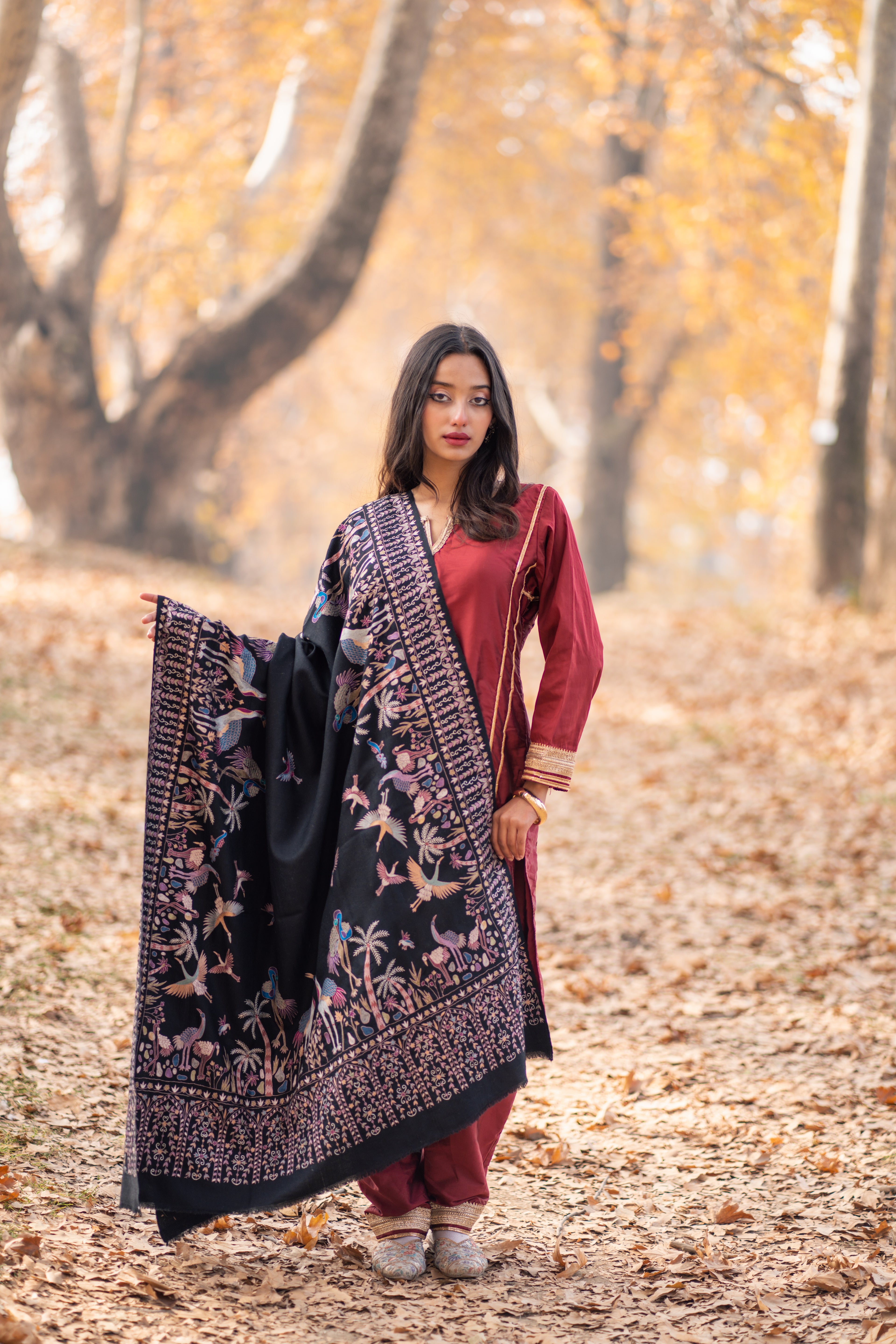 Midnight Paradise Kalamkari Pashmina Shawl