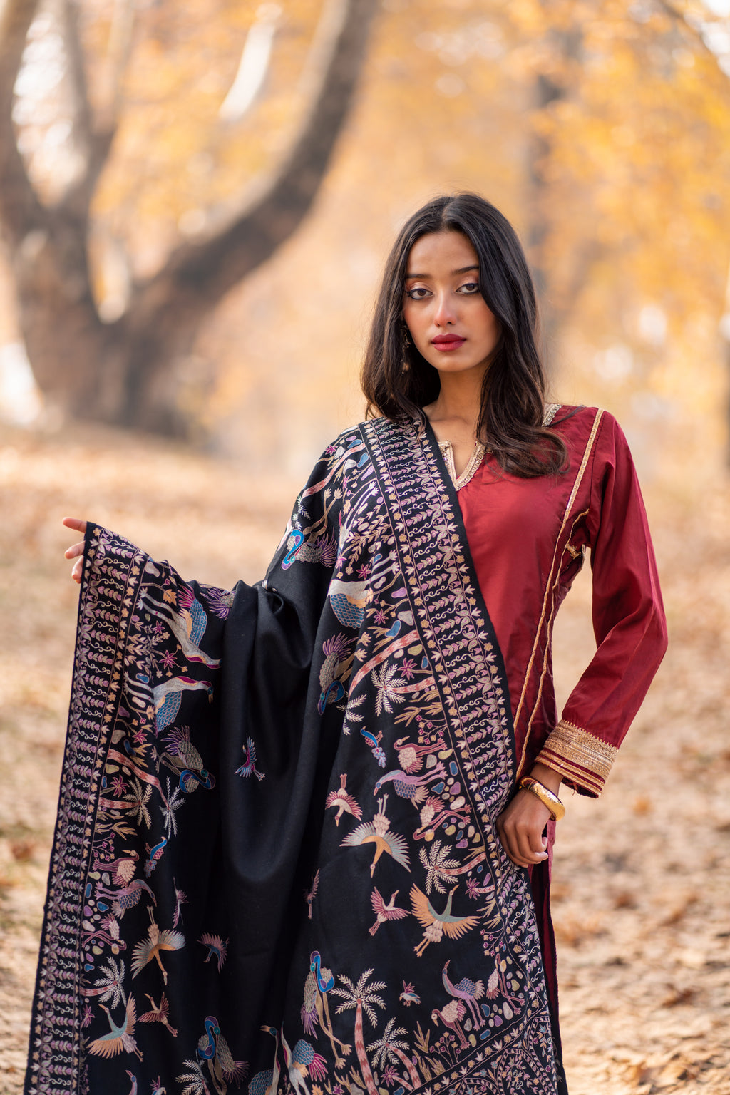 Midnight Paradise Kalamkari Pashmina Shawl