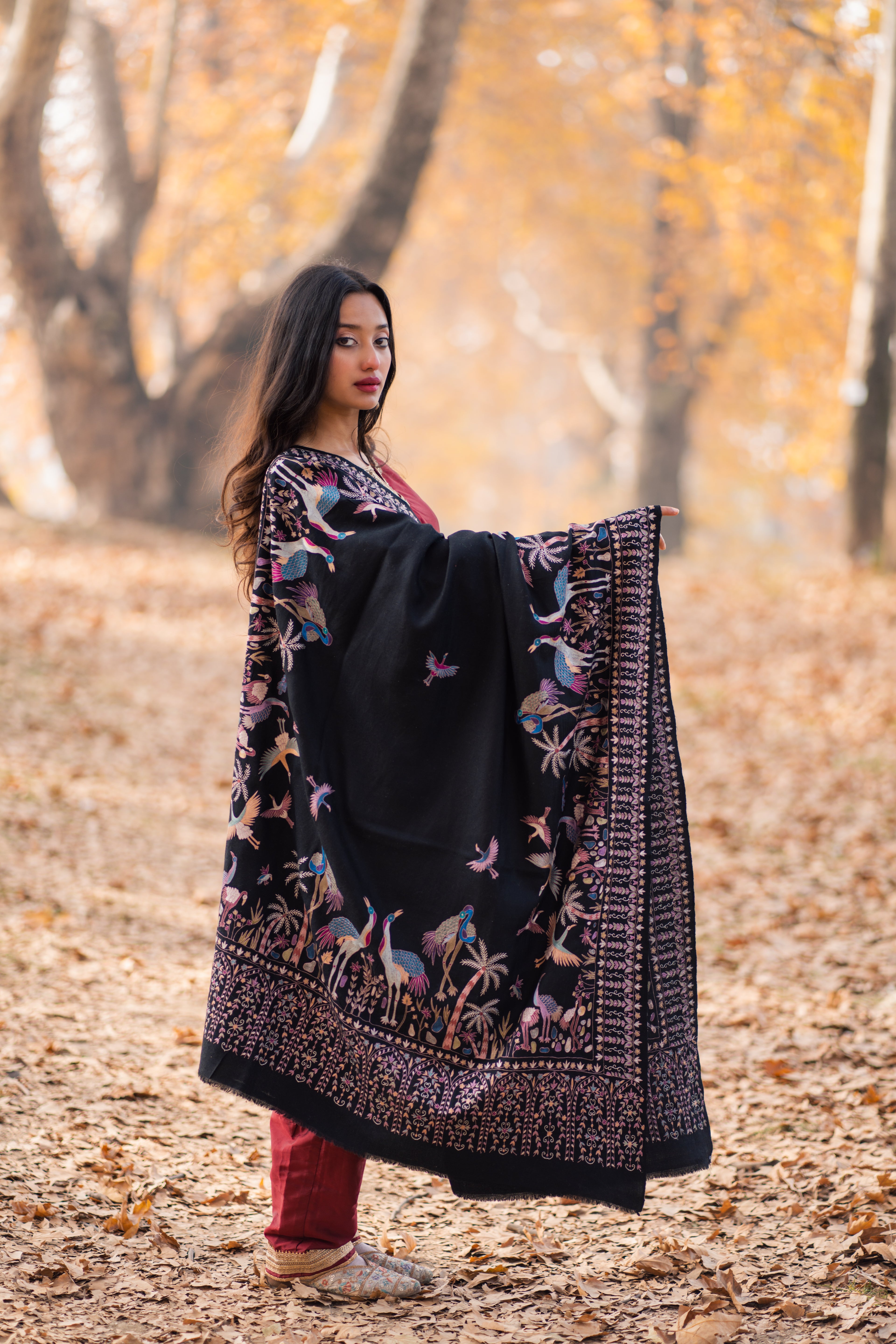 Midnight Paradise Kalamkari Pashmina Shawl