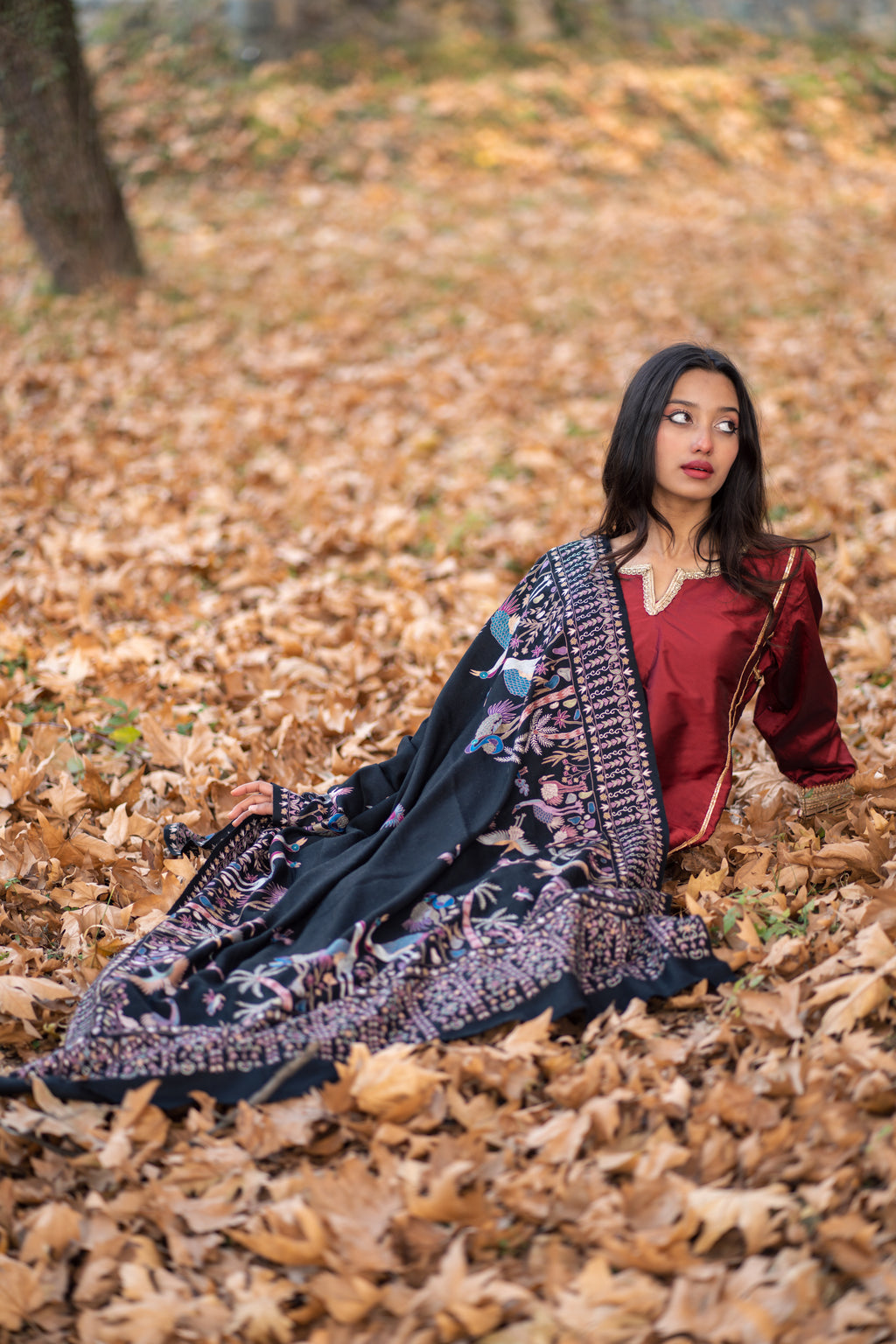Midnight Paradise Kalamkari Pashmina Shawl