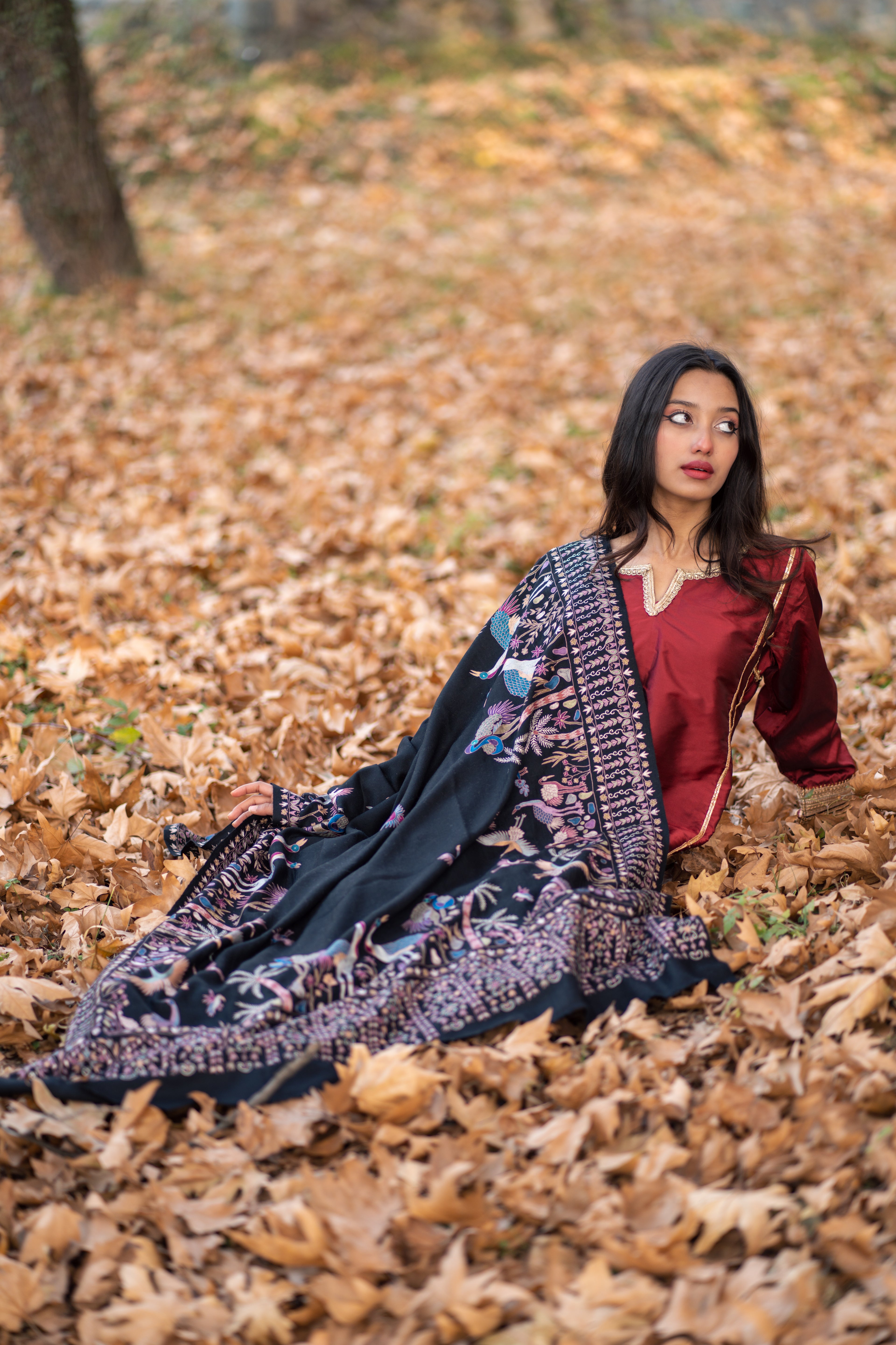 Midnight Paradise Kalamkari Pashmina Shawl