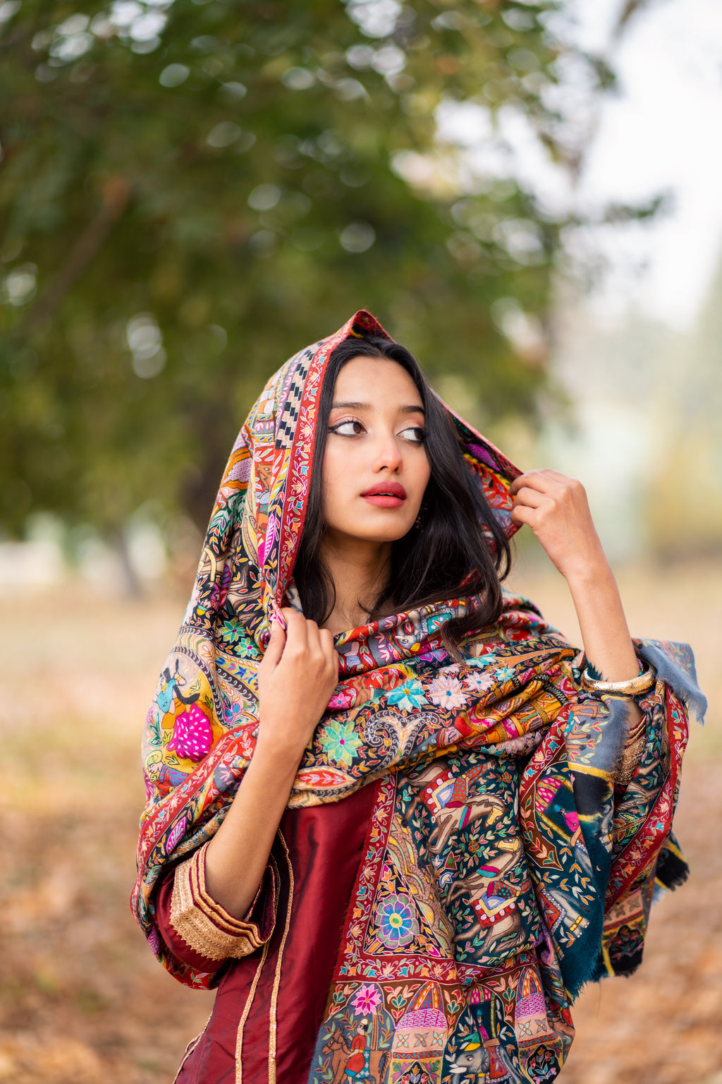 The Royal Meadows Kalamkari Pashmina Shawl