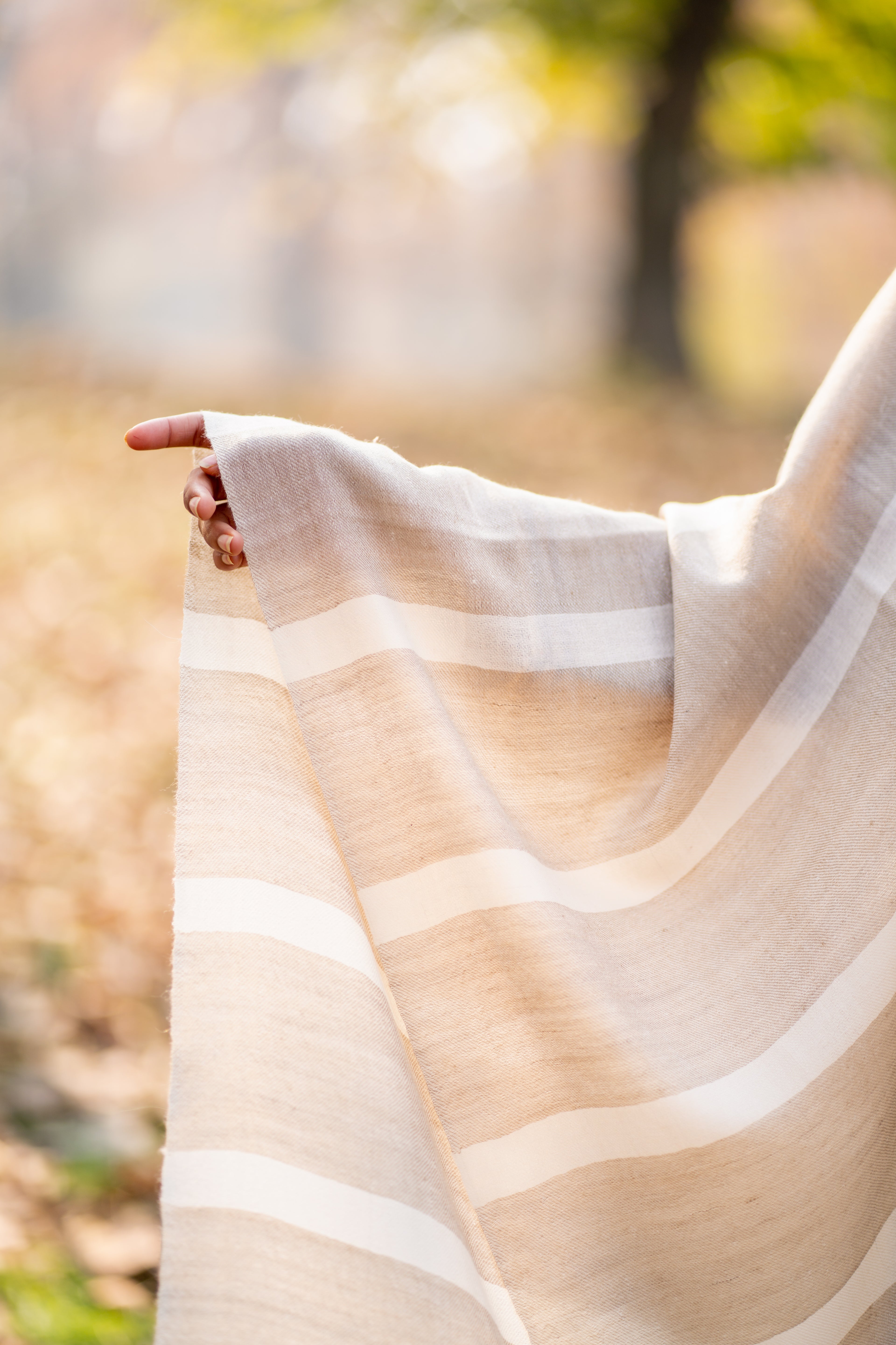 Beige and White Stripes Pashmina Wrap