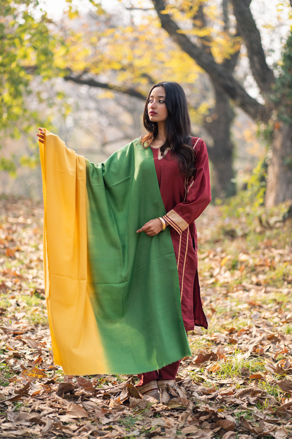 Yellow and Green Ombre Pashmina Shawl