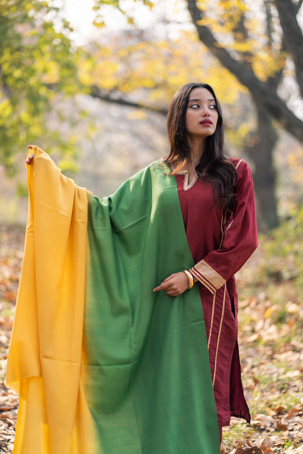 Yellow and Green Ombre Pashmina Shawl
