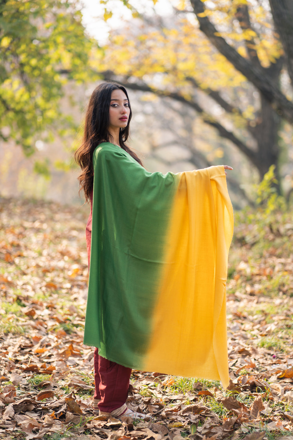 Yellow and Green Ombre Pashmina Shawl