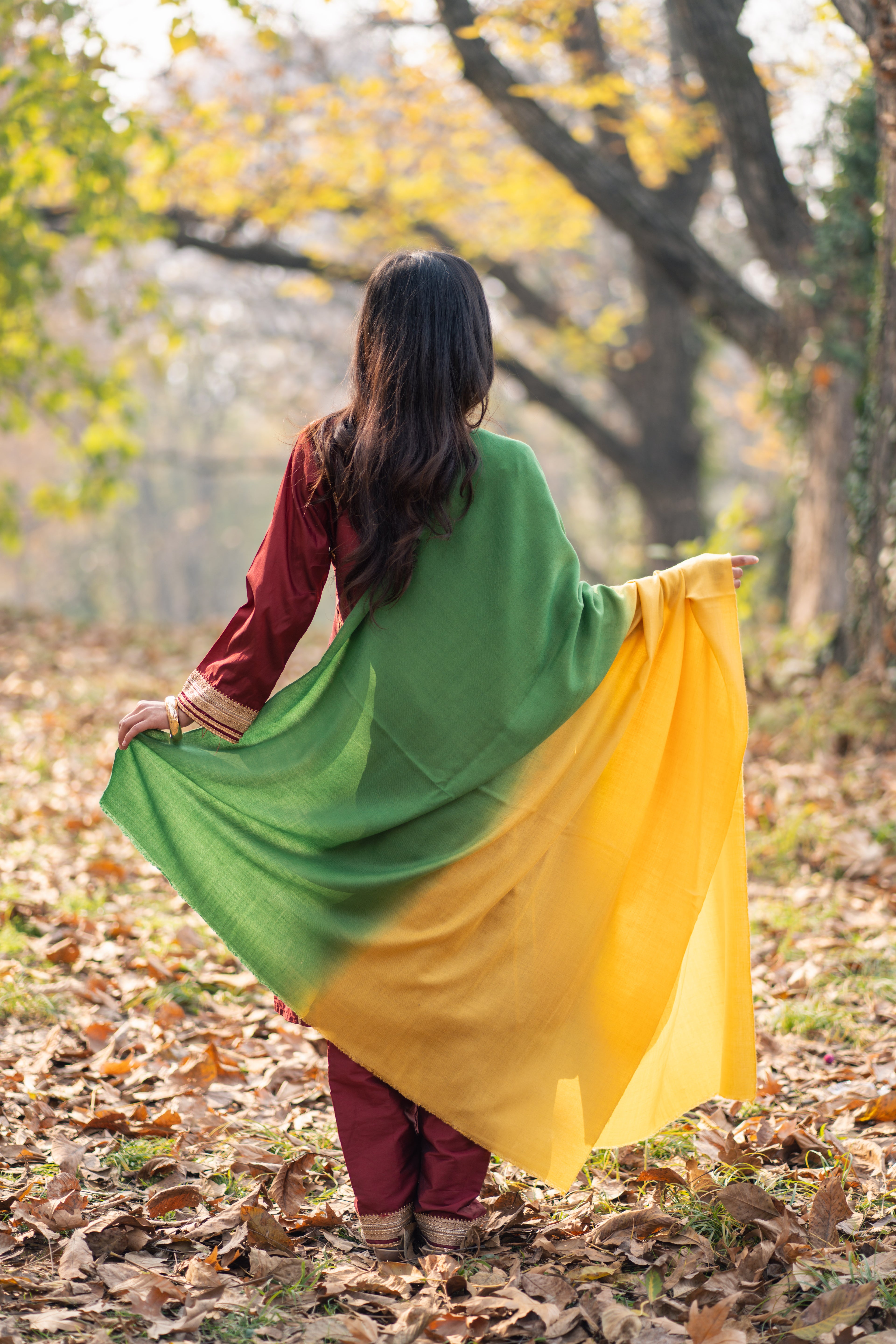 Yellow and Green Ombre Pashmina Shawl