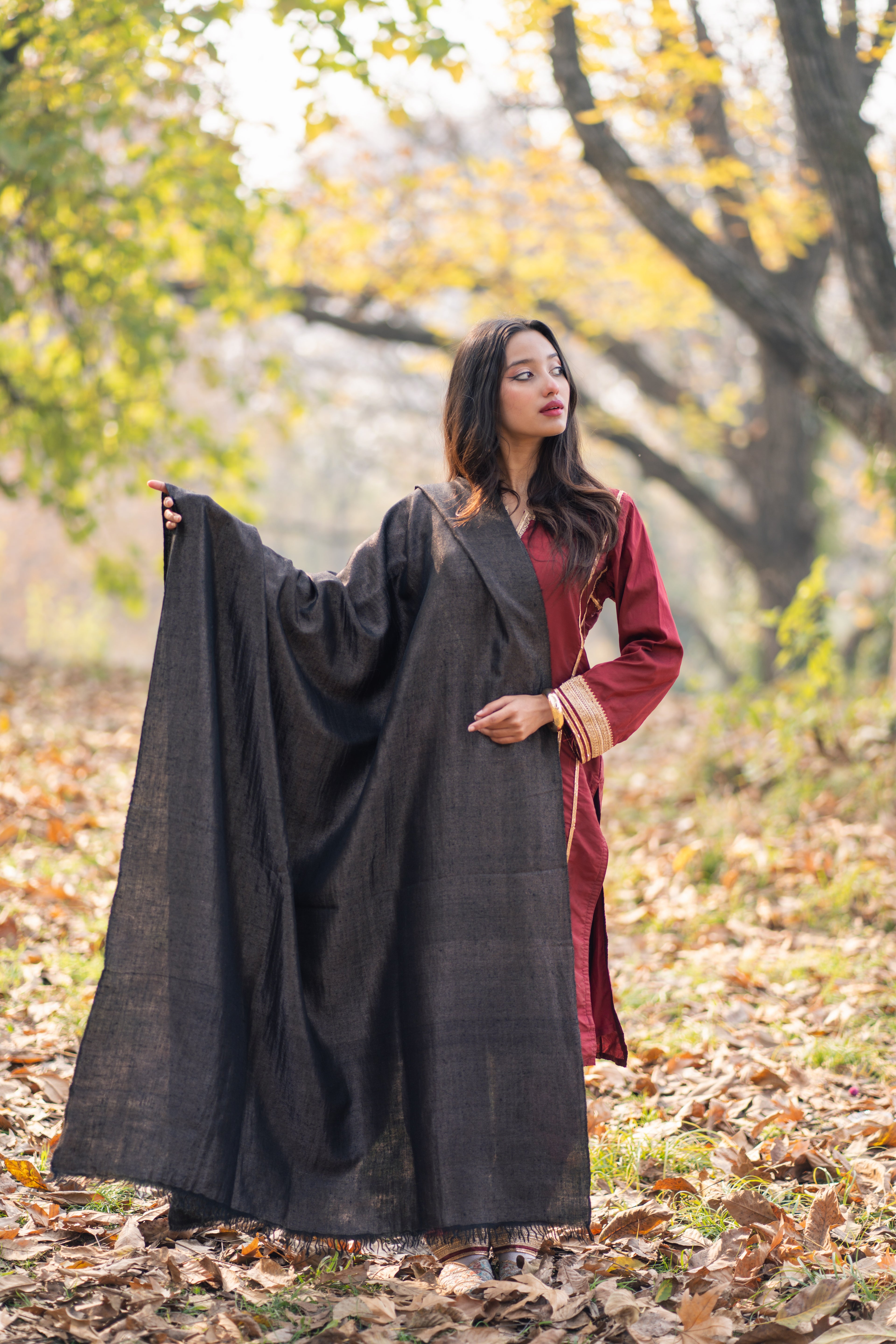 Black Reversible Pashmina Zari Shawl