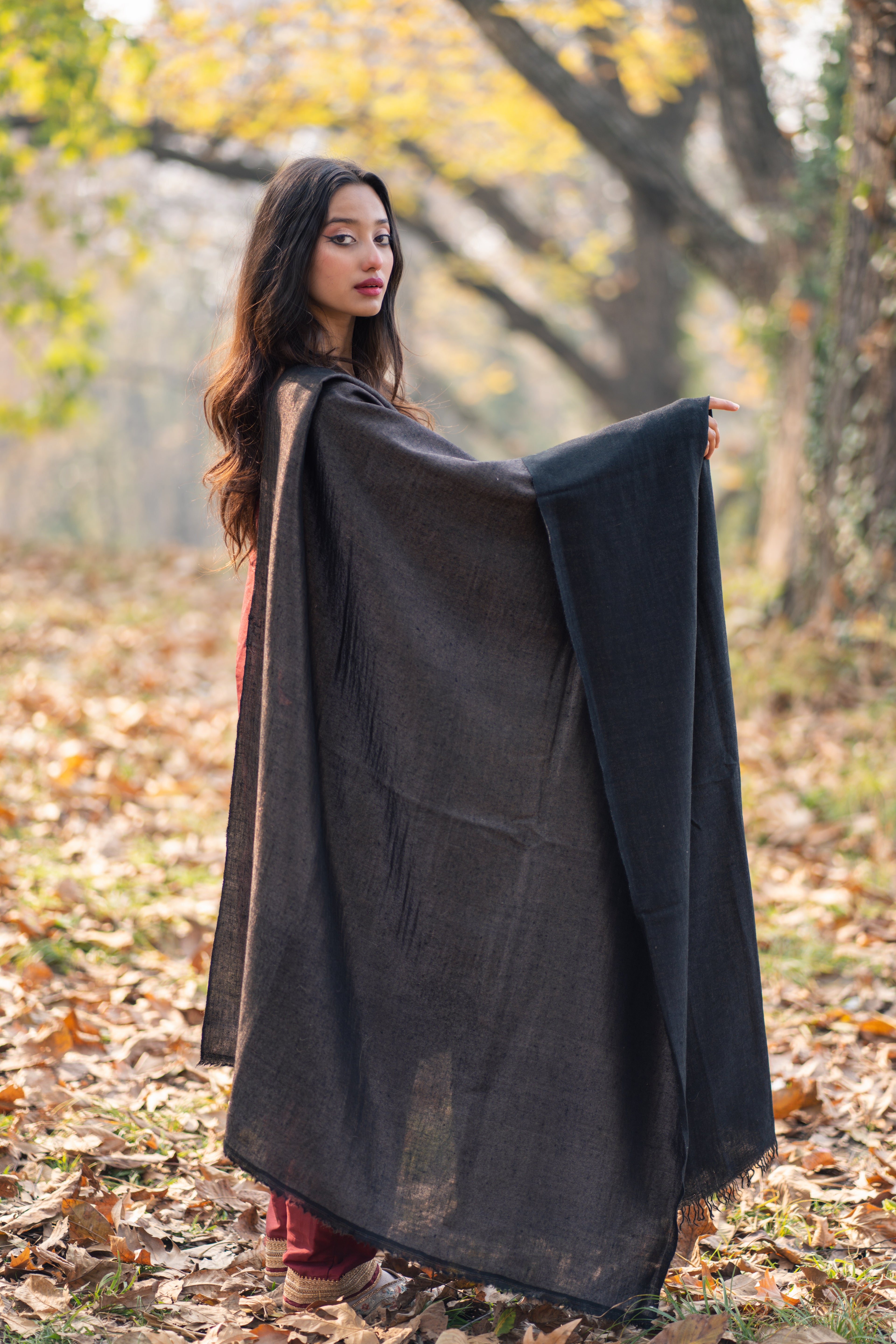 Black Reversible Pashmina Zari Shawl